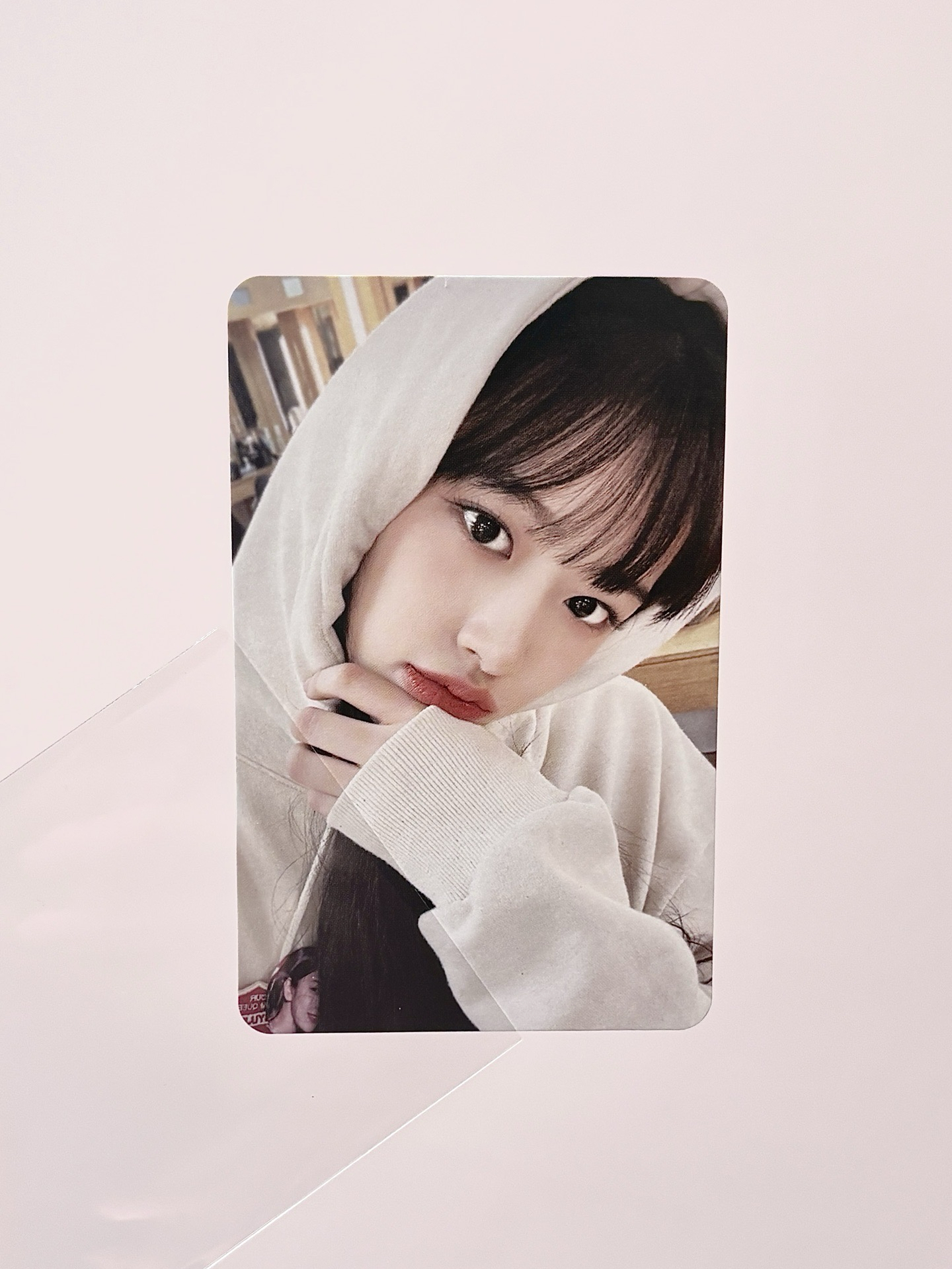 23’FC 演唱會五張