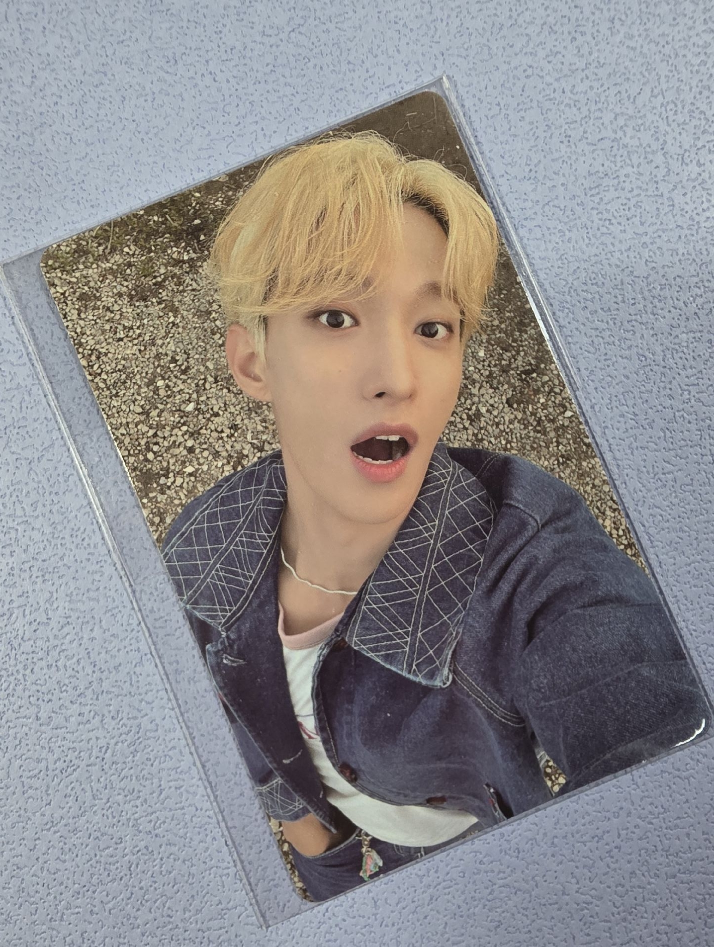 感謝祭 碩卡 精選專