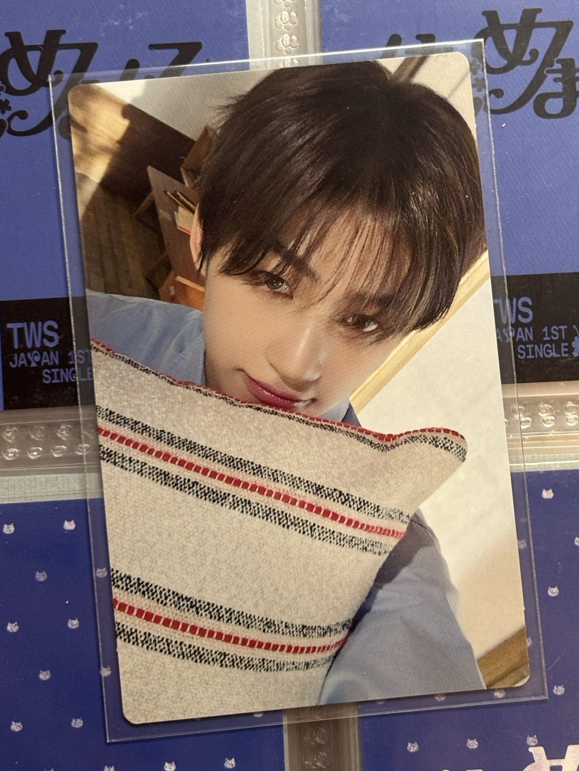 ✨志薫 日專單封專卡【可直拍】