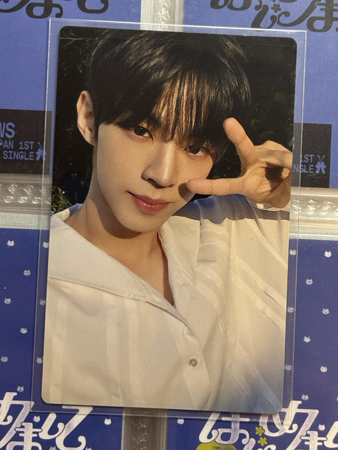 ✨道勳 日專單封專卡【可直拍】