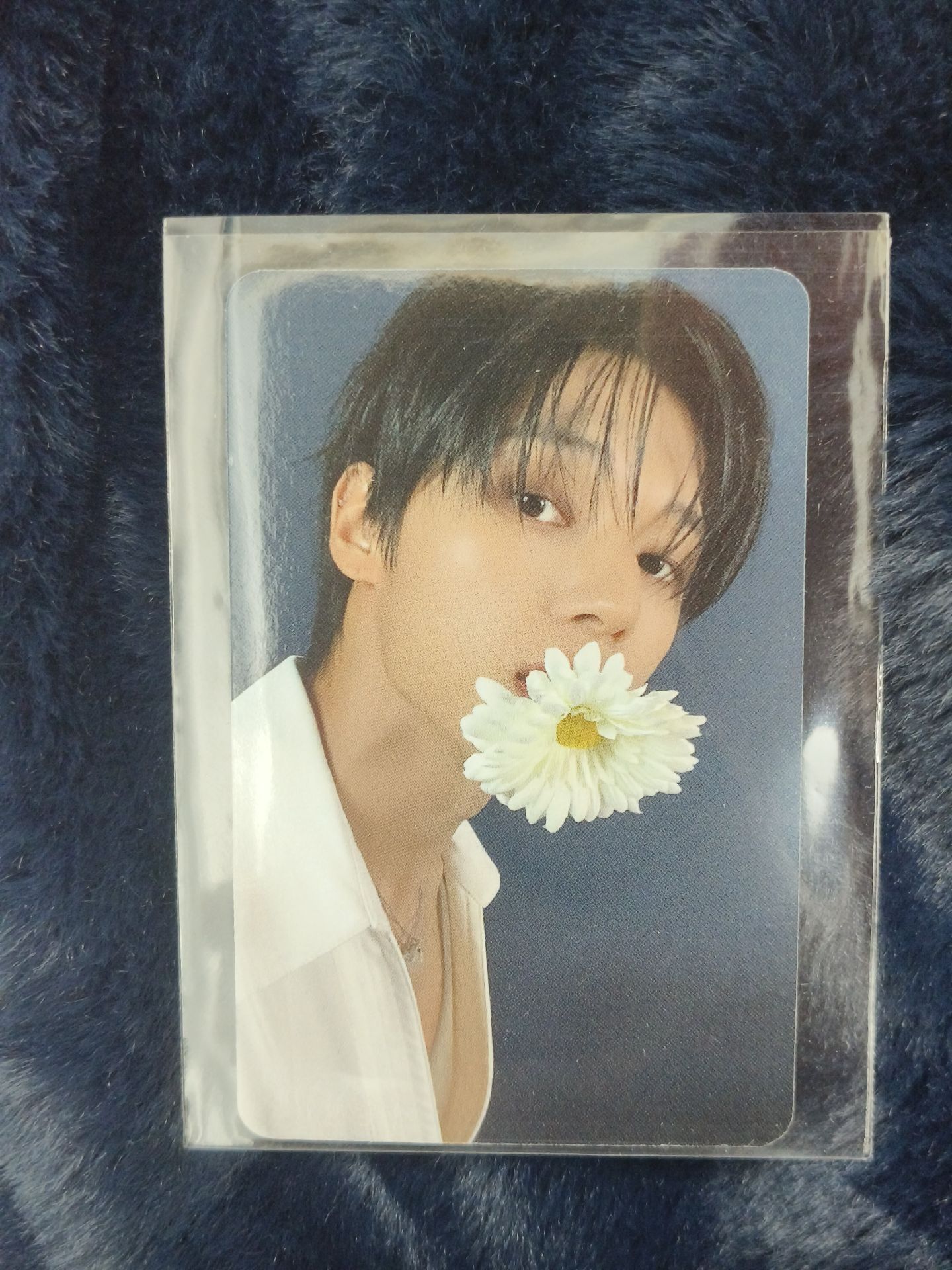 GH4 am🌼 榮特典