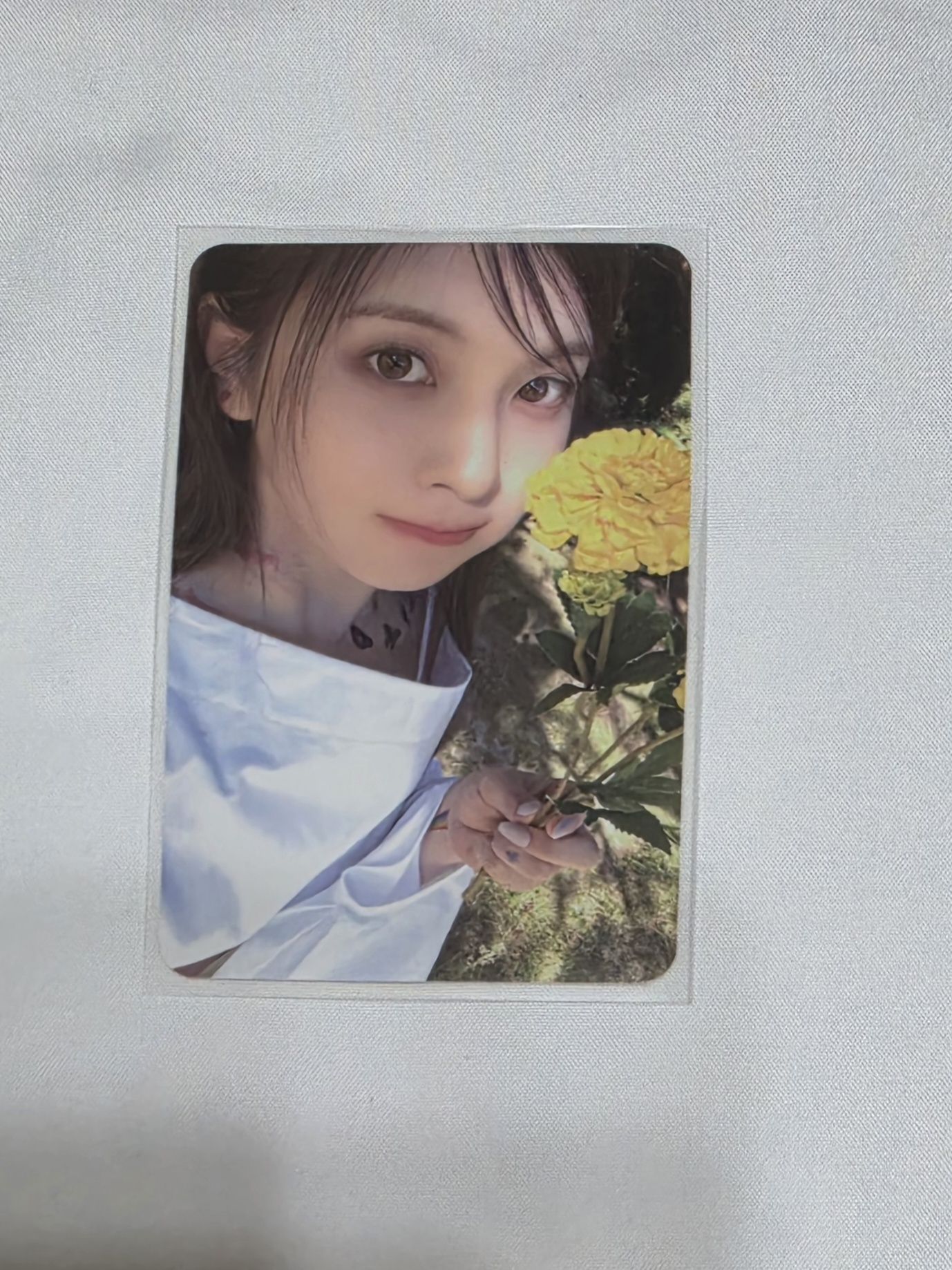 el 預售 Bae