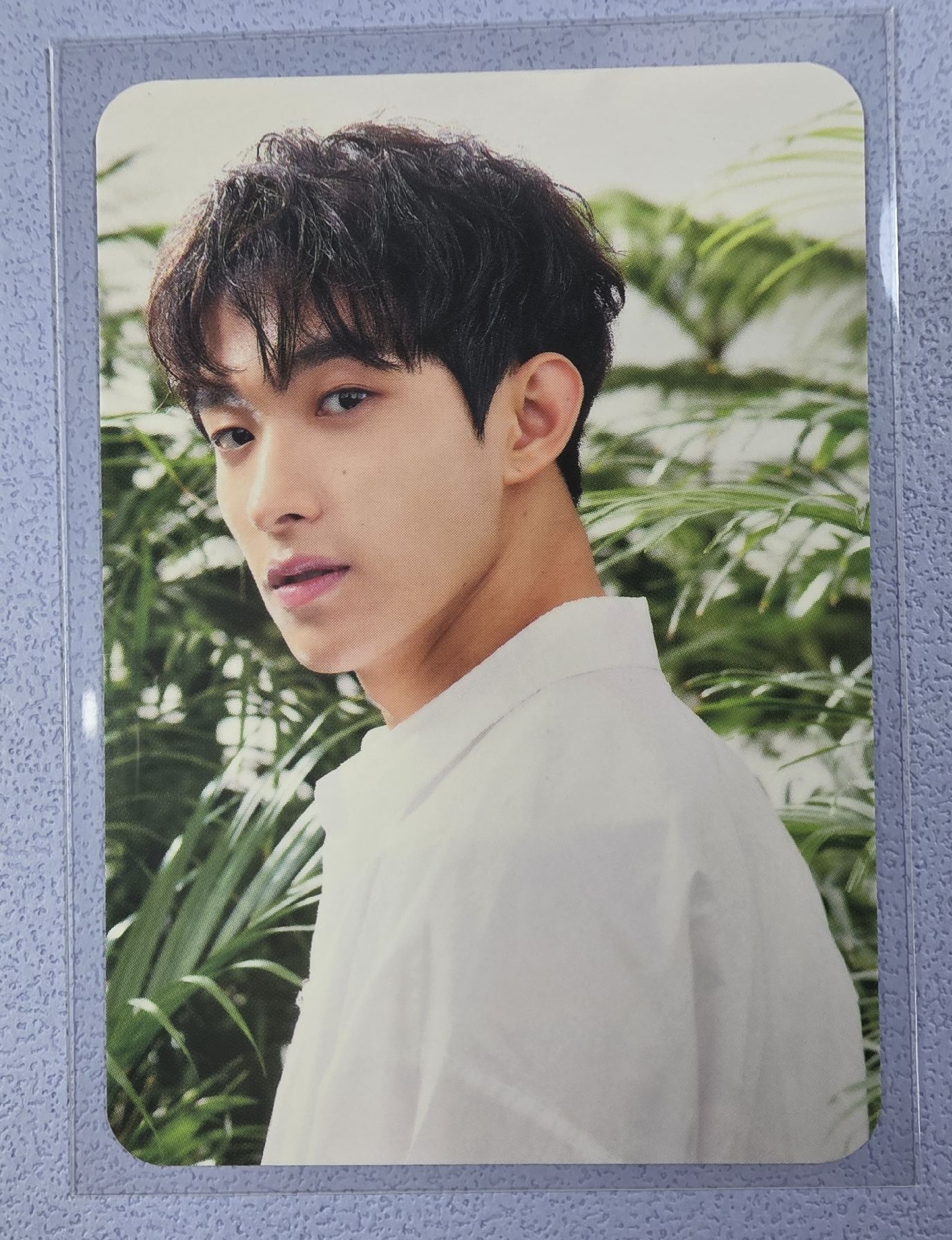 碩卡 綠意盎然 代言卡