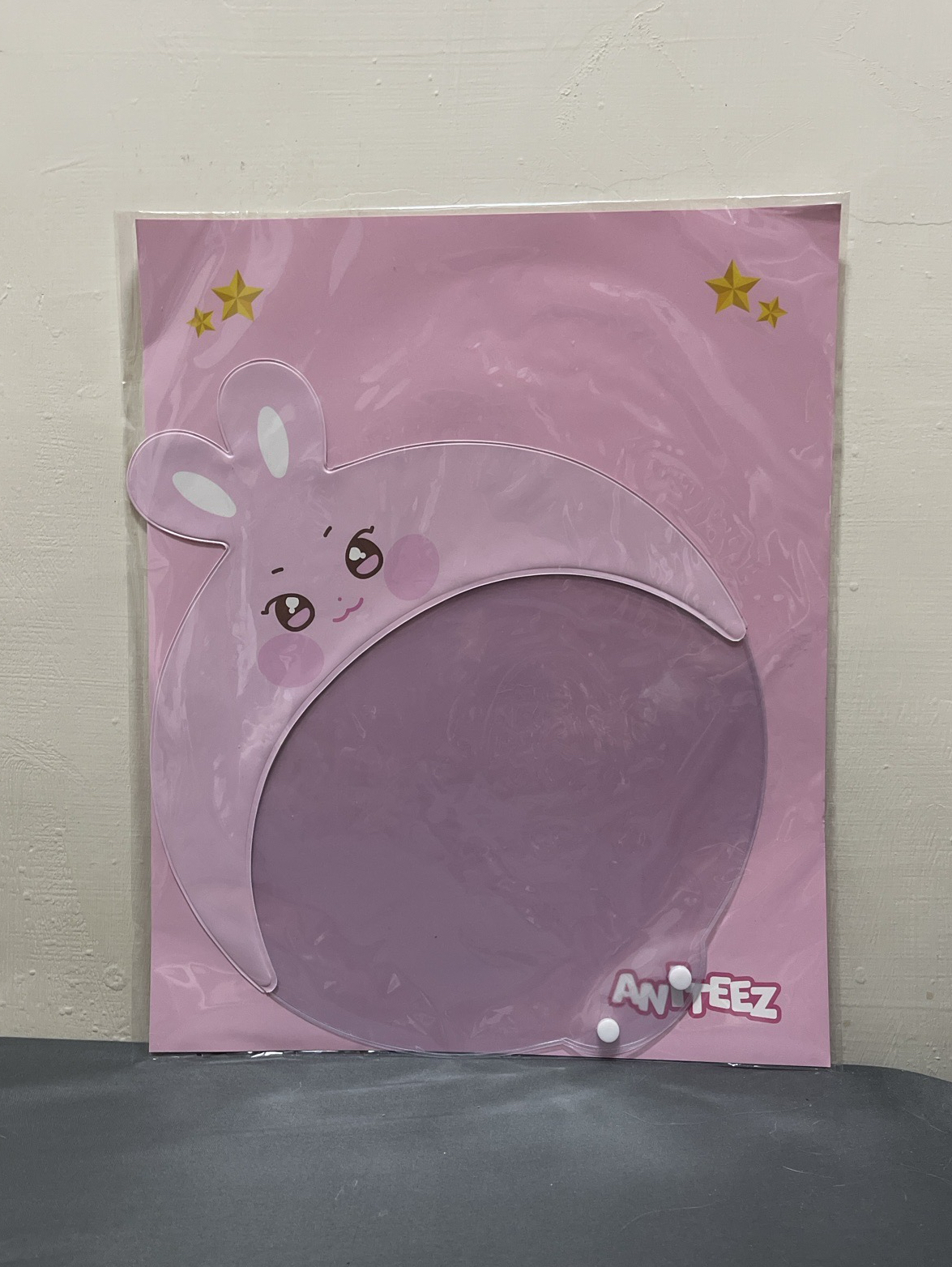 ANITEEZ IN ILLUSION 扇套 Image Picket Cover