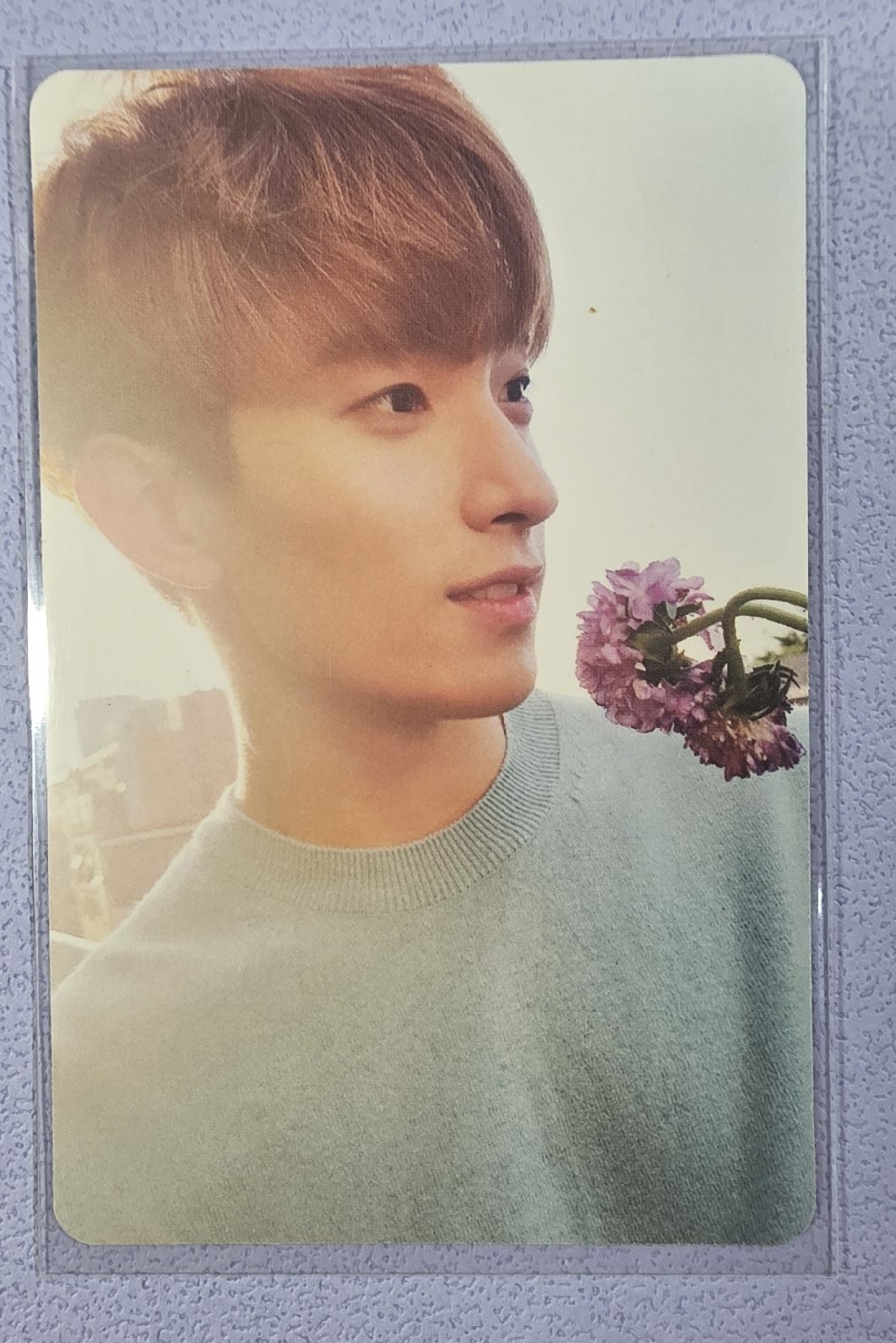 碩 專輯卡 正二