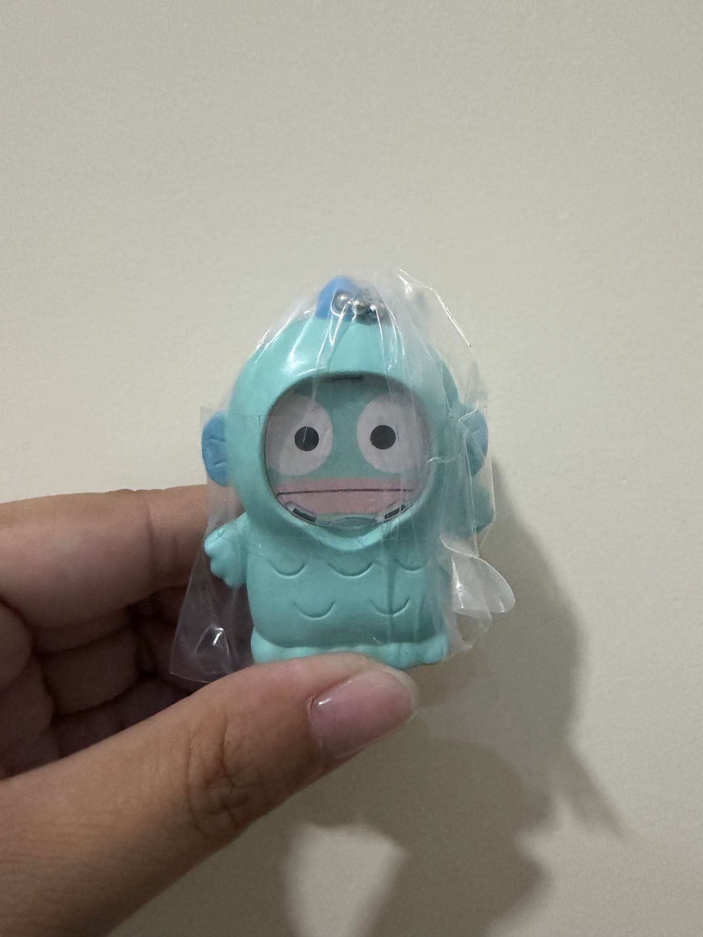 醜魚