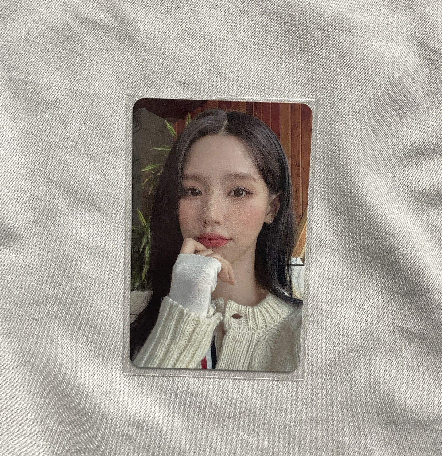 薇娟 三期會員禮 小卡