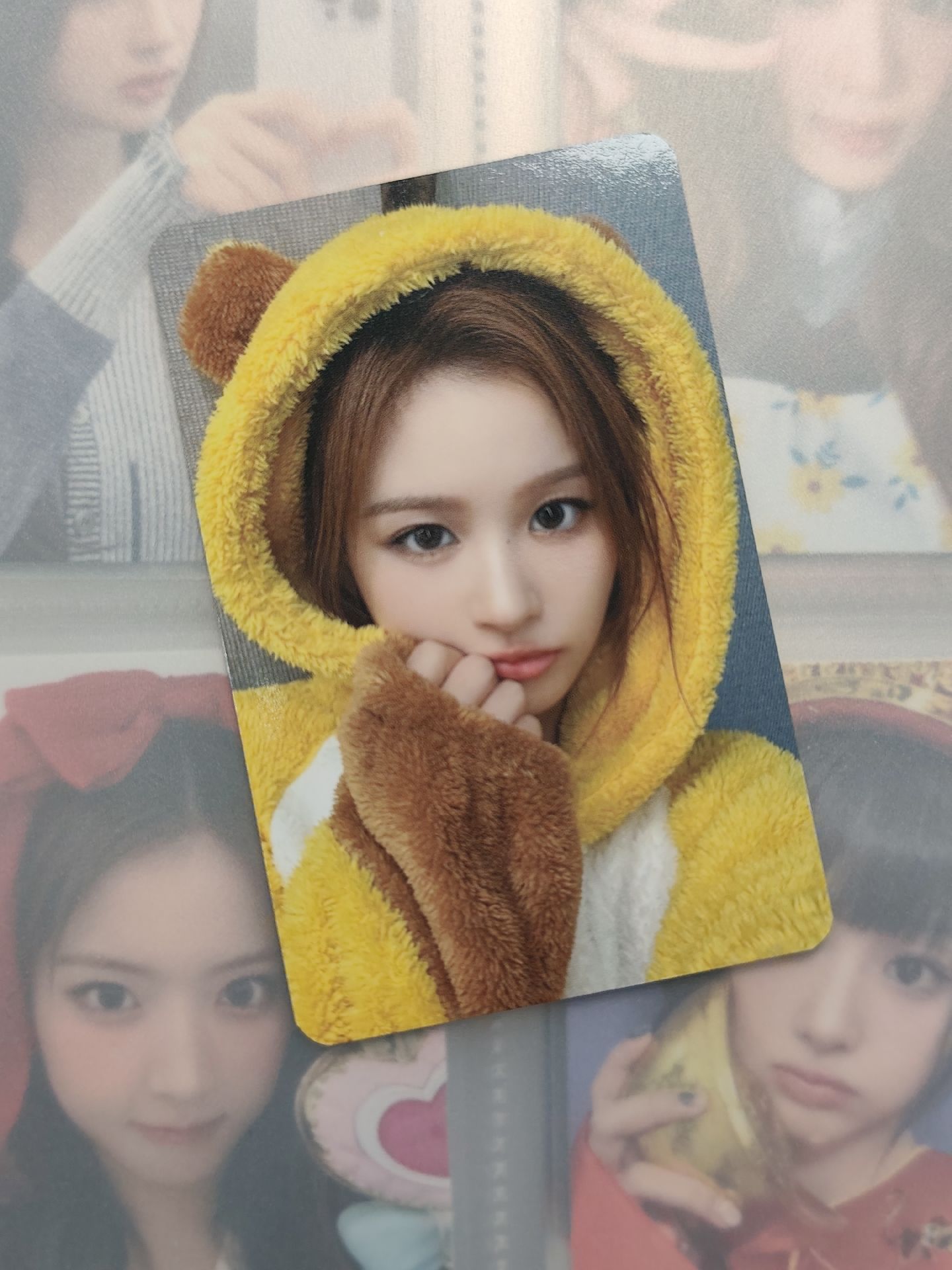 🐶蜜蜂薛（綁🐰*1）