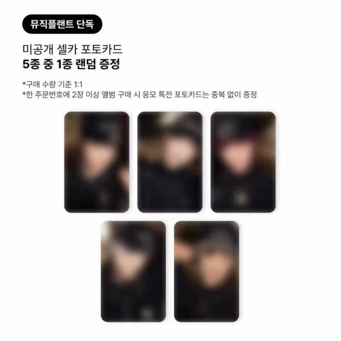 【非現簽售】Plave 迷四 mp 簽售卡 1.0 單卡一套