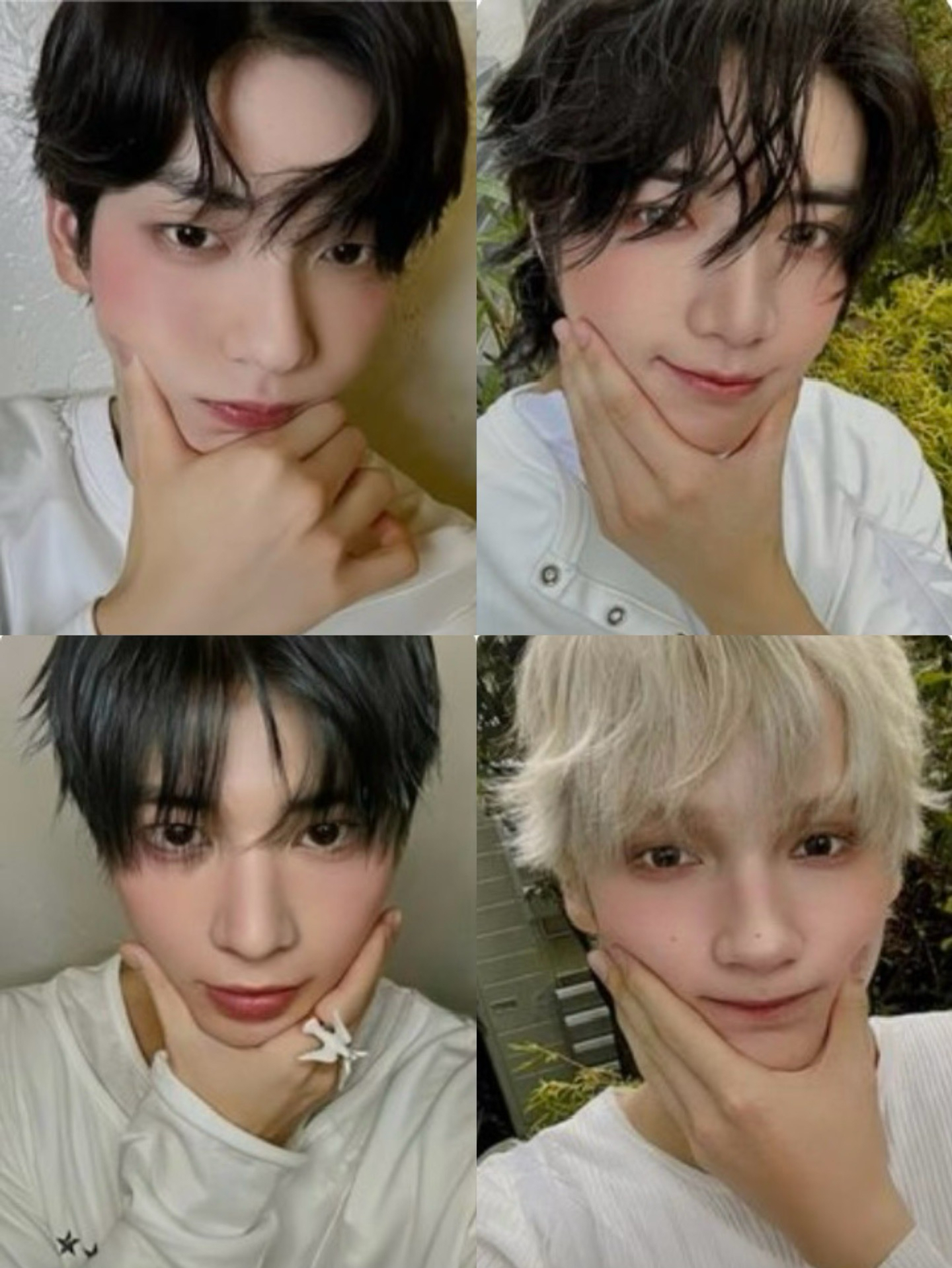 Starkissed 隨機卡 