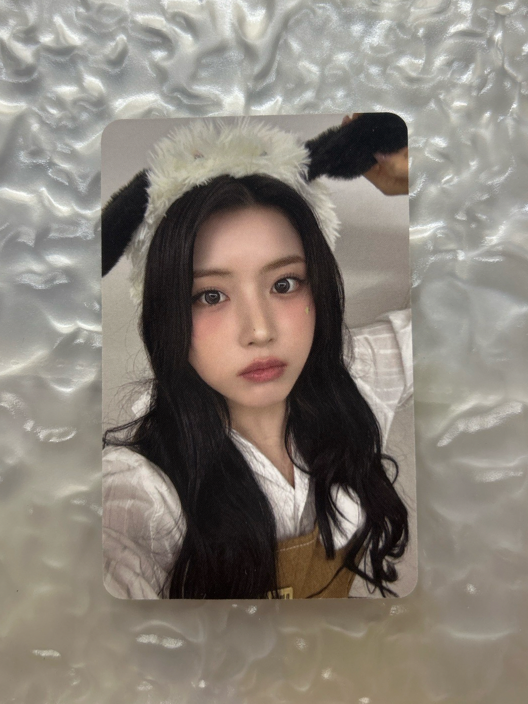 NMIXX 動物咖啡廳友