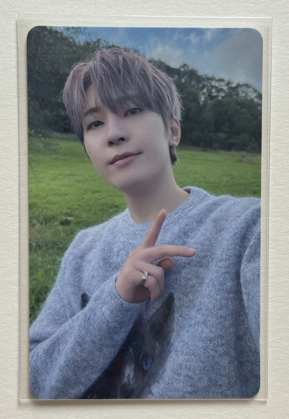 愛知圓（需帶💎）