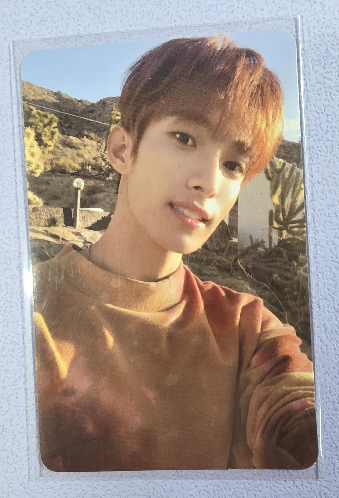 迷你七 專輯卡 碩