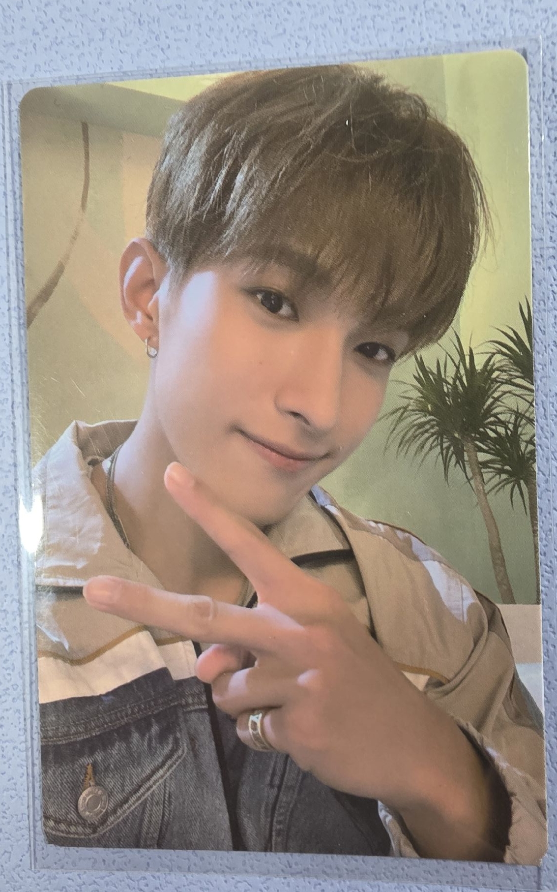 迷你九 專輯卡 碩