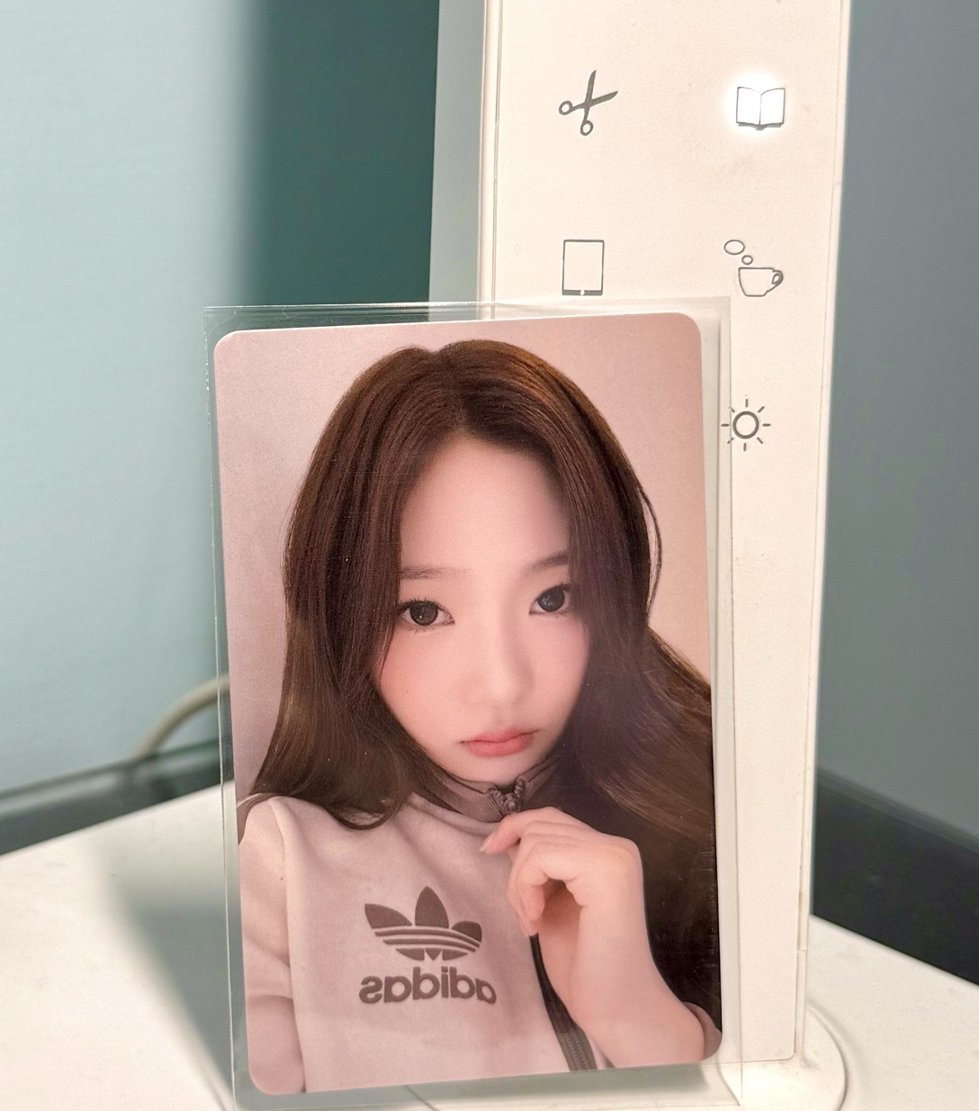 愛迪達外套stella