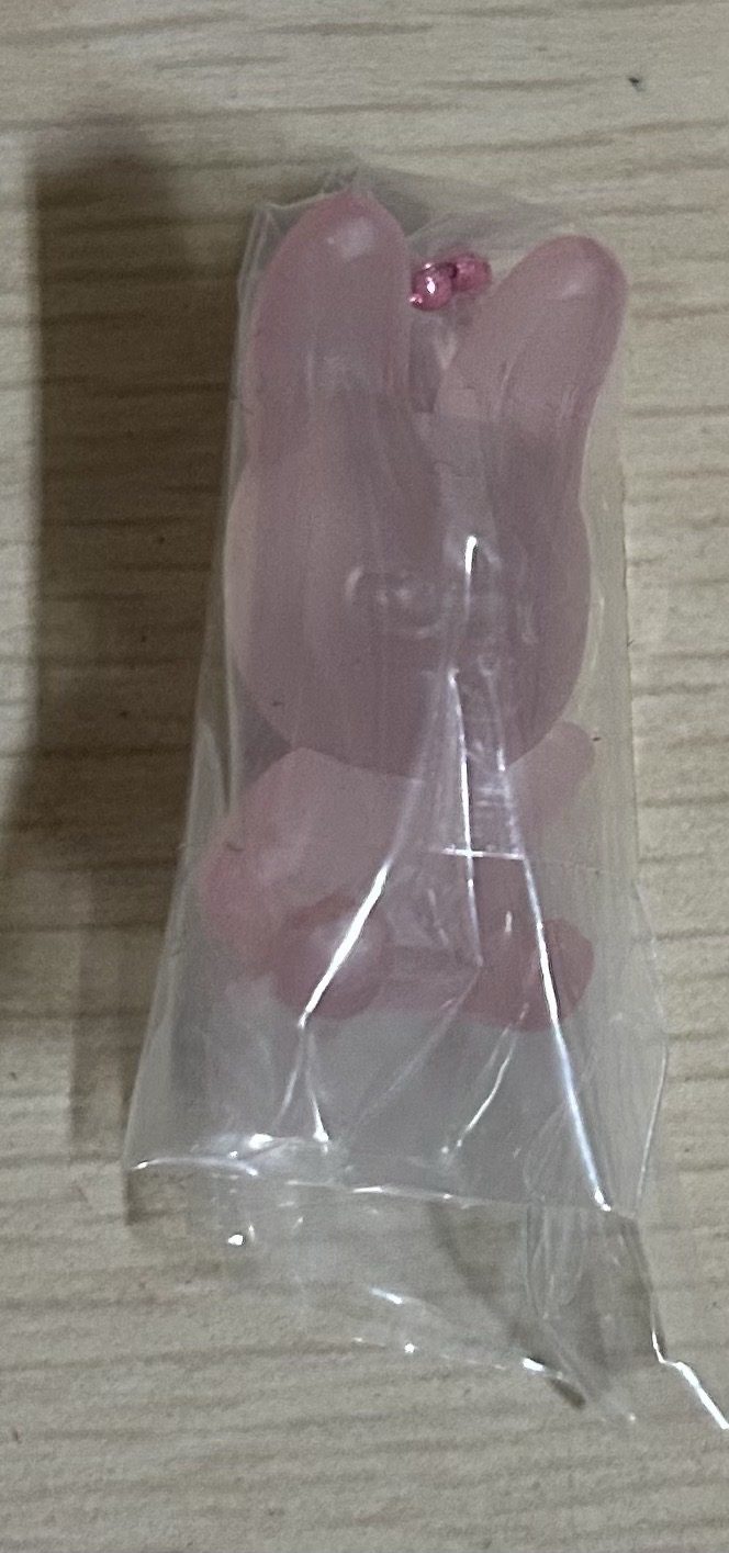 豬兔