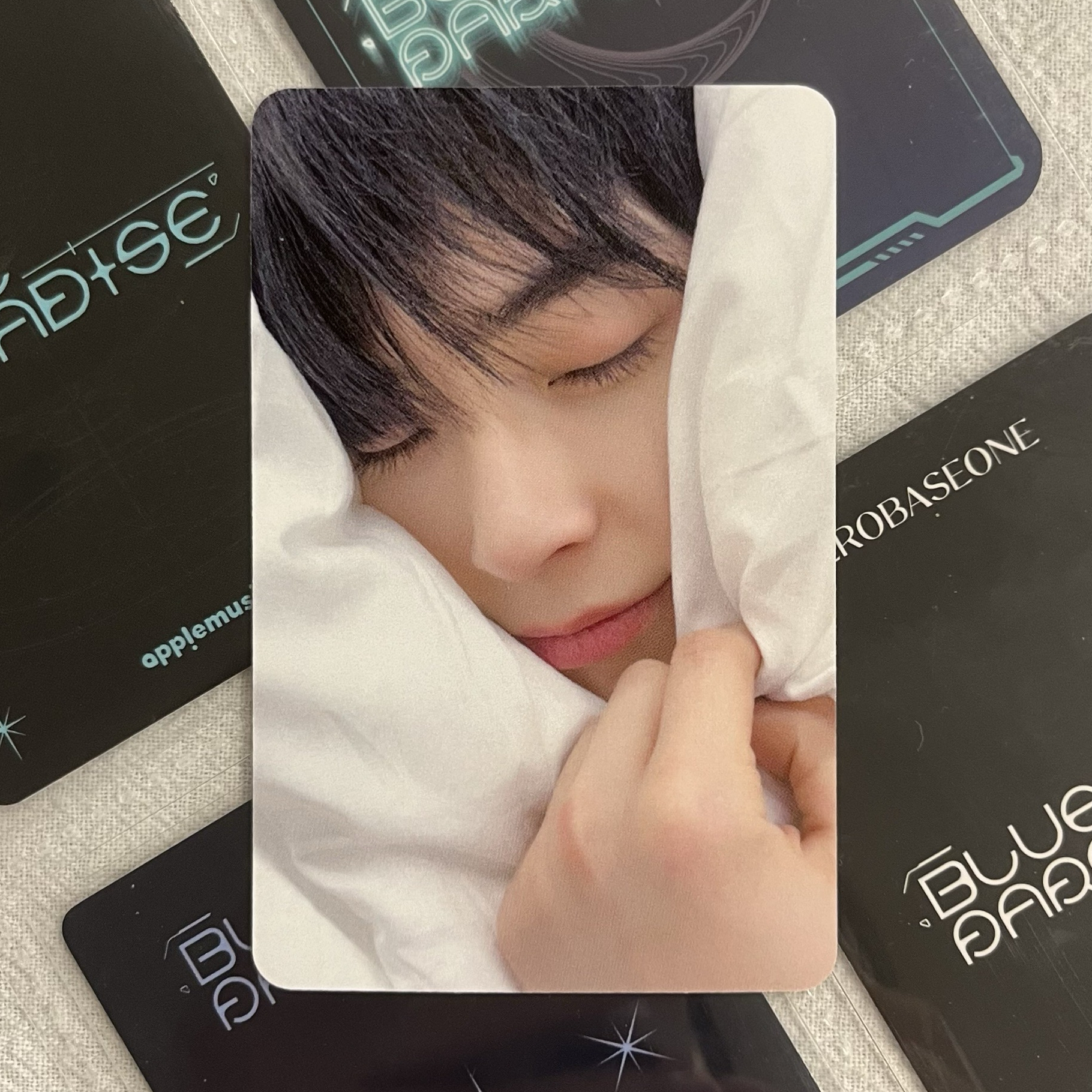 🐾 星河 棉被ver. 彬