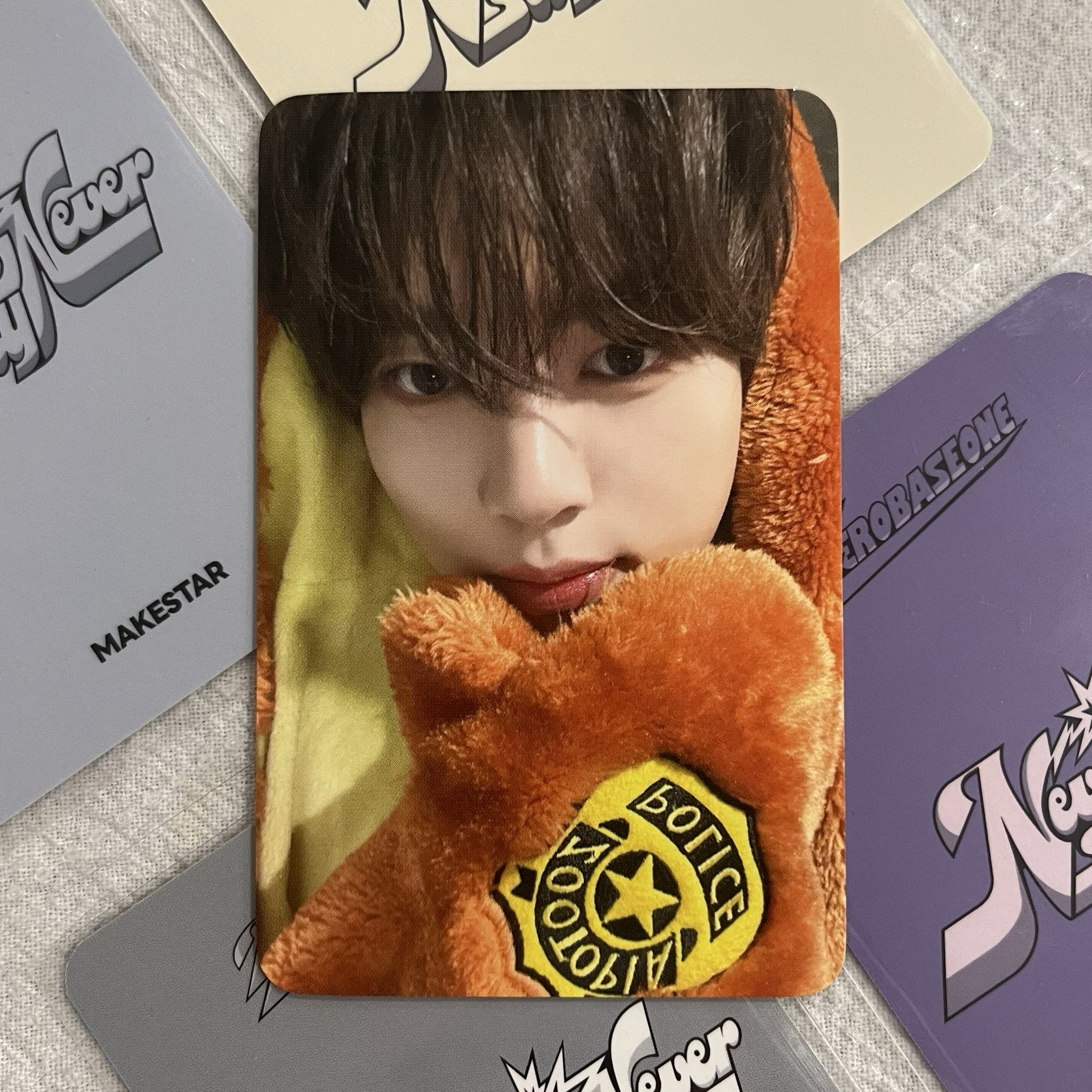 🐾 動物方城市 辰