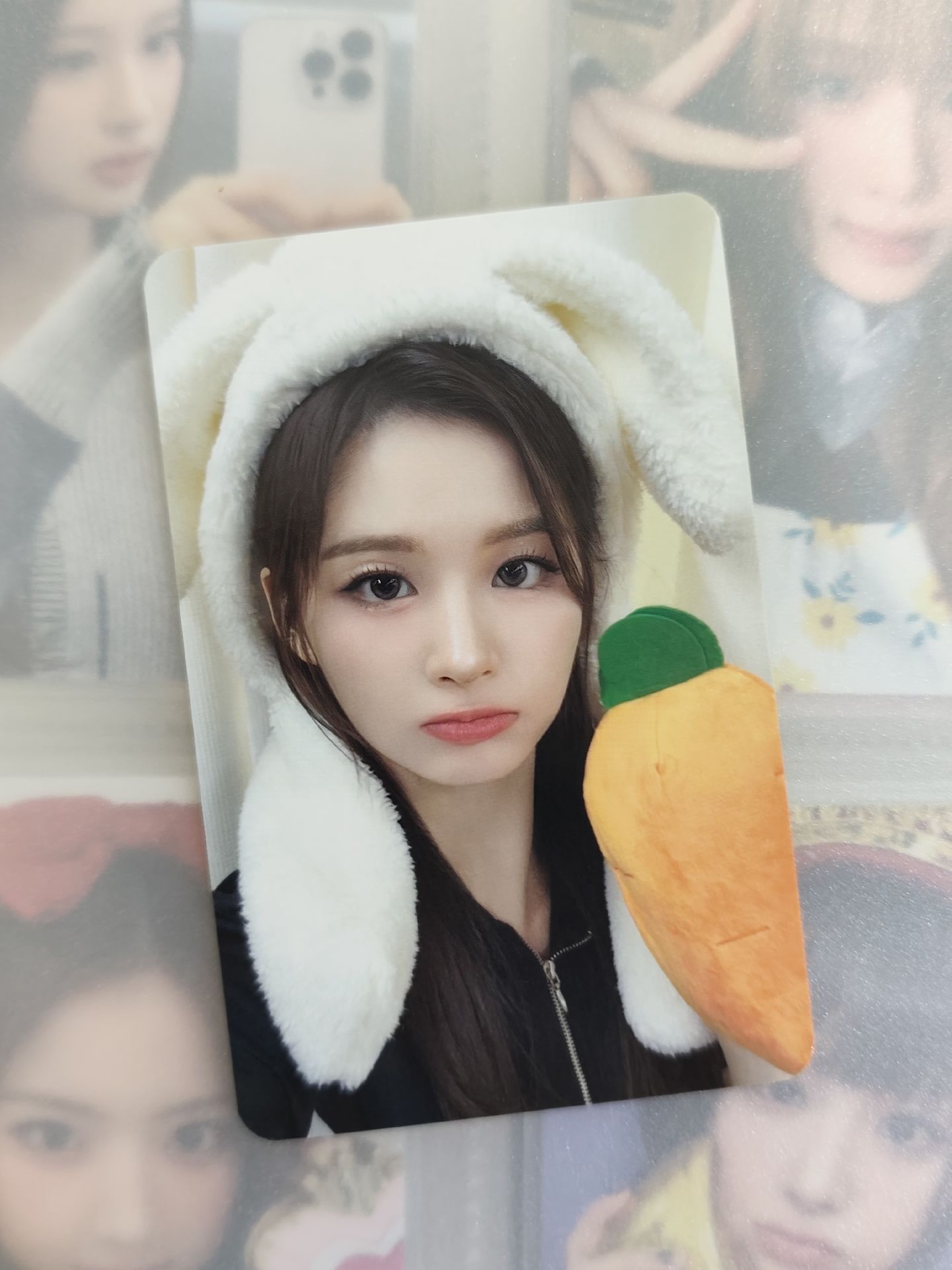 🐰胡蘿蔔薛（特殊卡背）