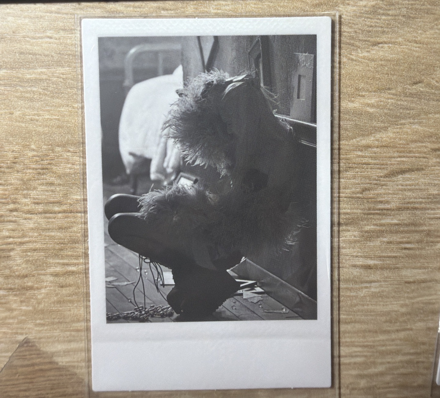 -R- 專輯卡蹲下肉 ROSÉ