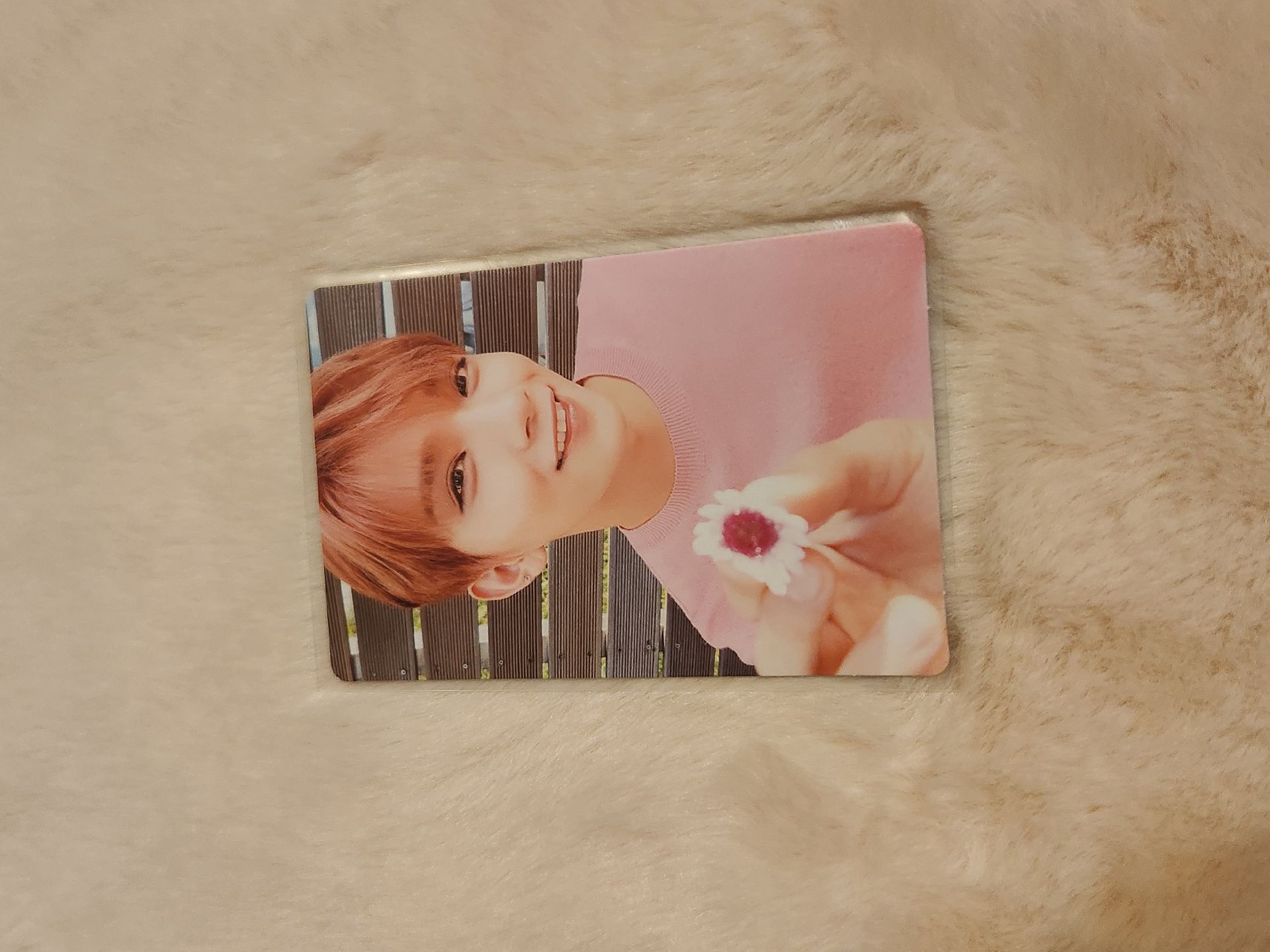 正二白專輯卡🐱