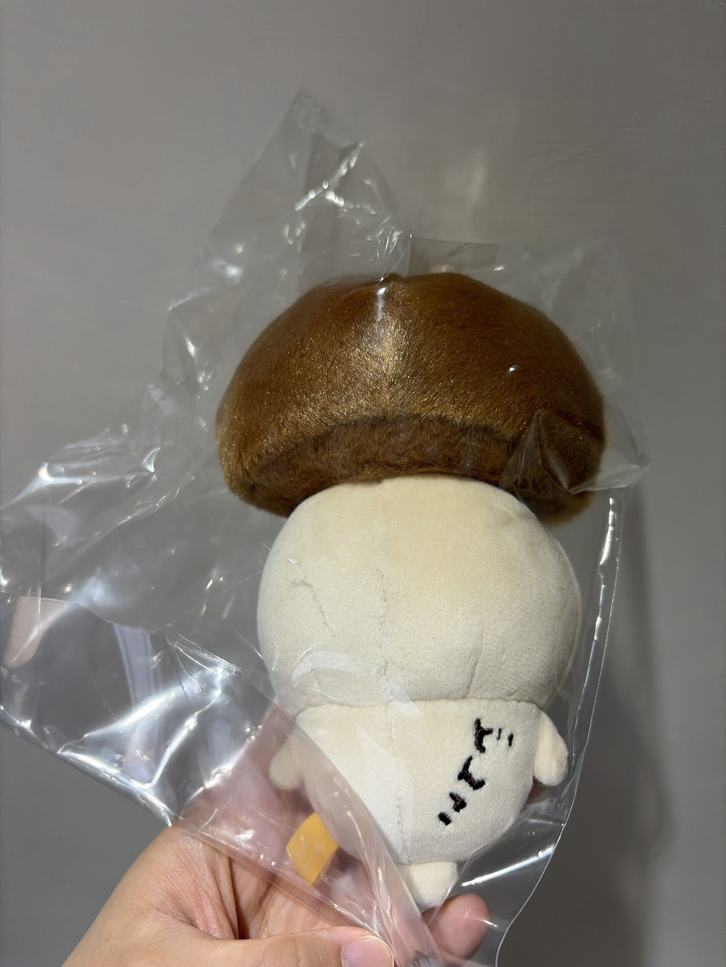 🎃萬聖節系列 🍄‍🟫香菇烏薩奇