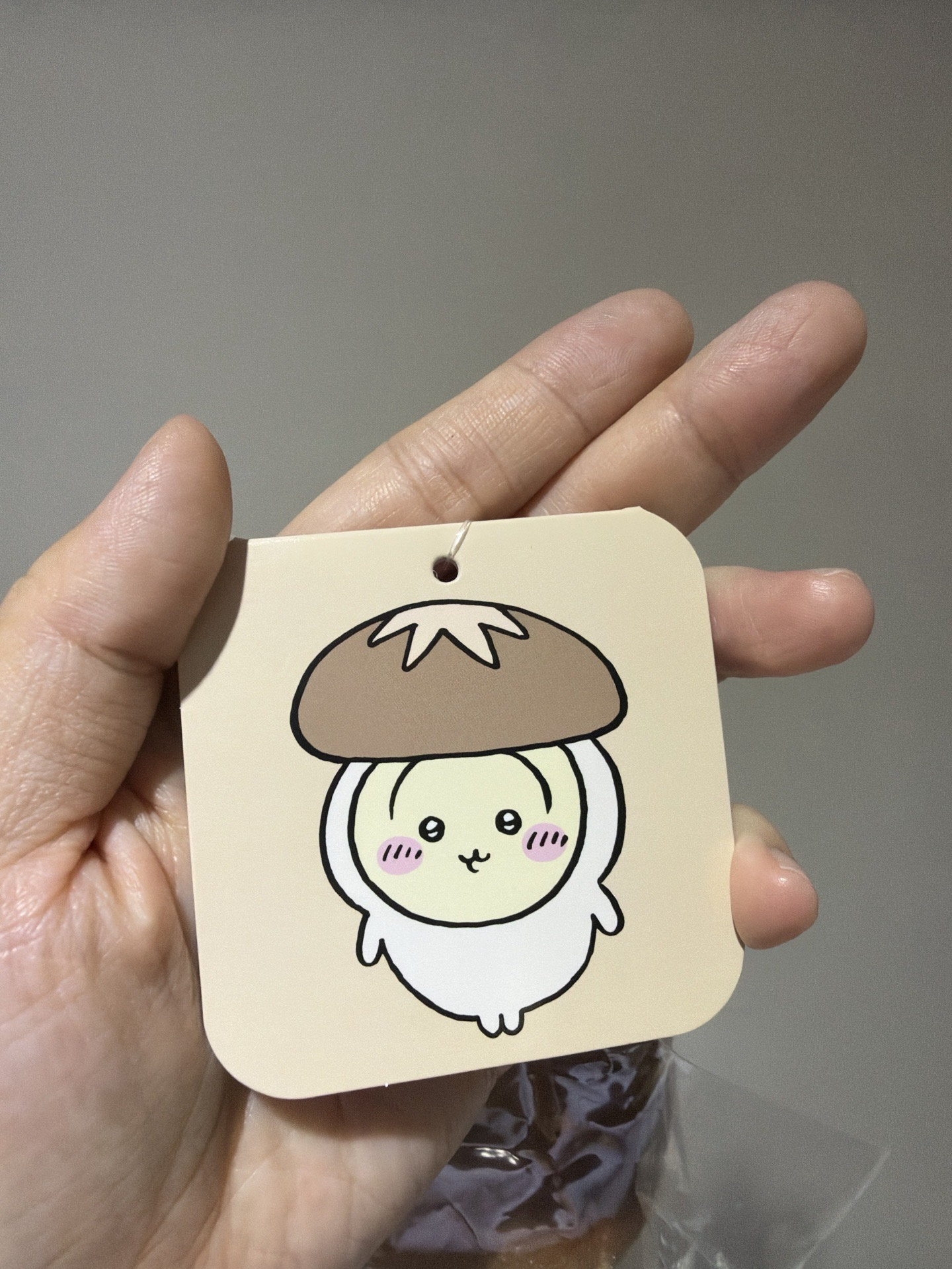 🎃萬聖節系列 🍄‍🟫香菇烏薩奇