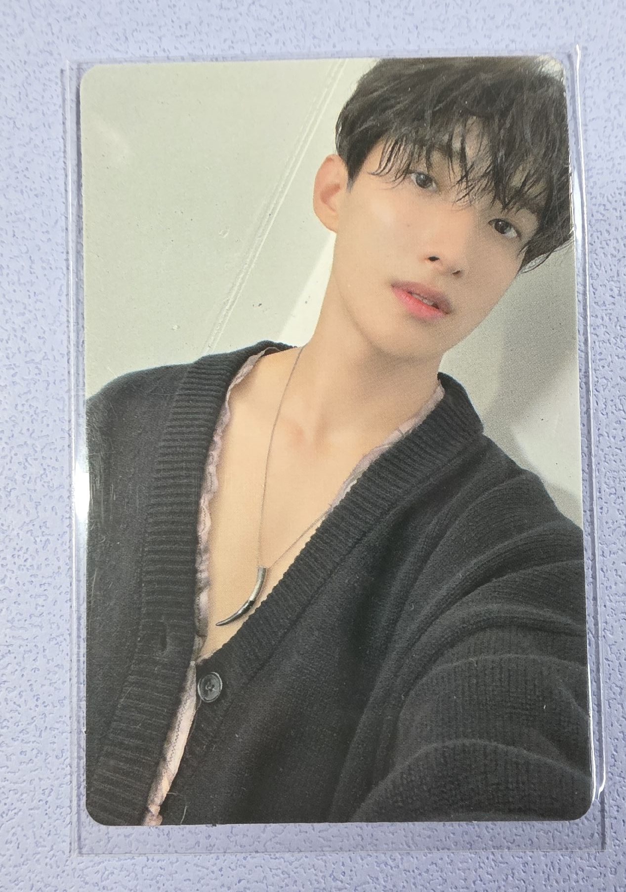 迷你九 專輯卡 碩