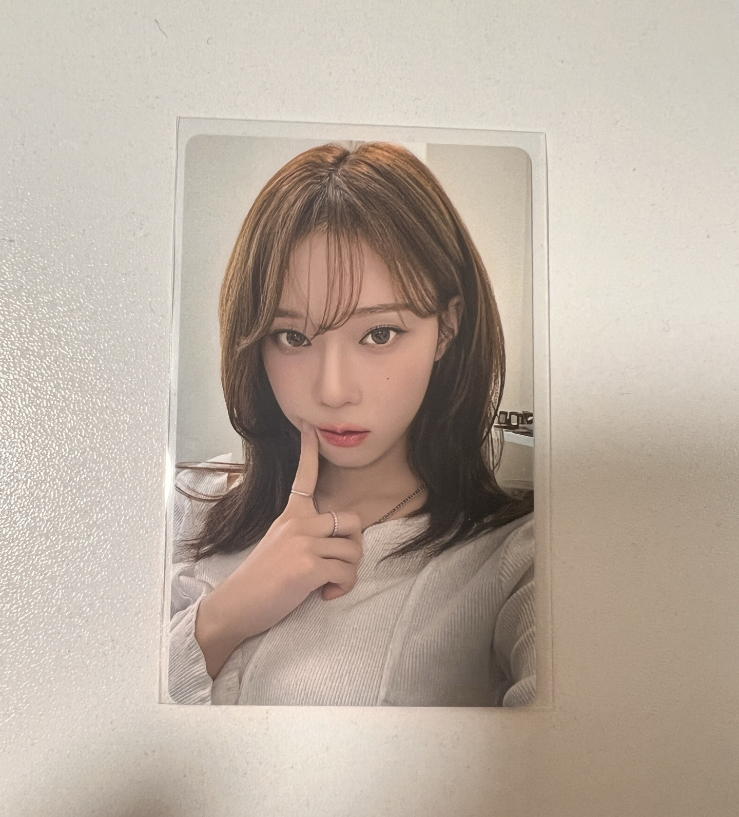 回憶錄演唱會 DVD 冬