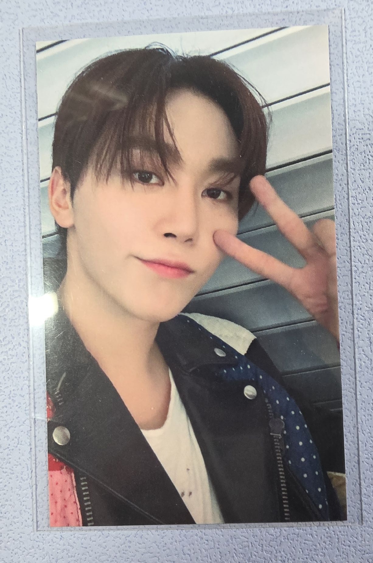 寬 迷你十二 環球