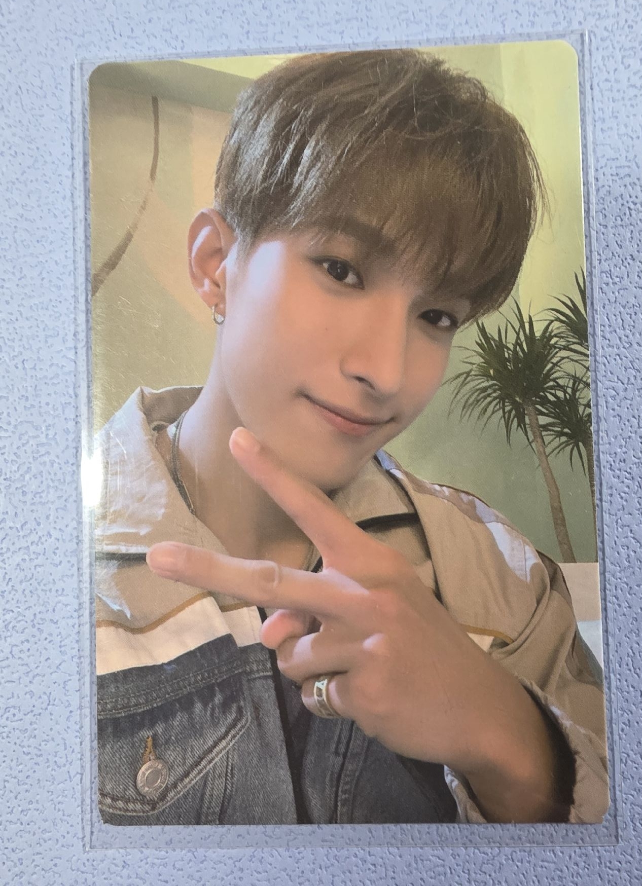 碩 迷你九 專輯卡