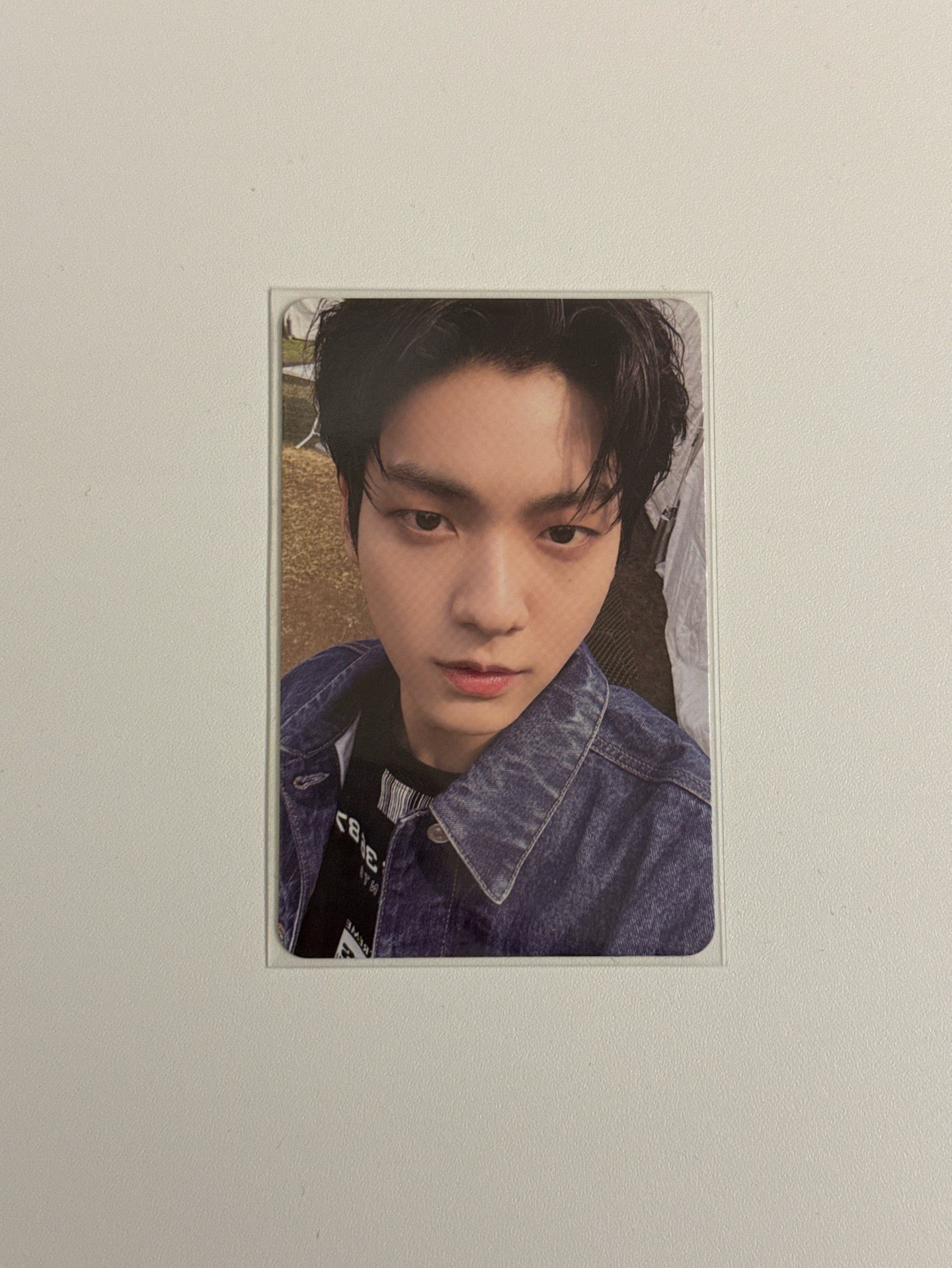 dmm彬（23年wvs con造型）