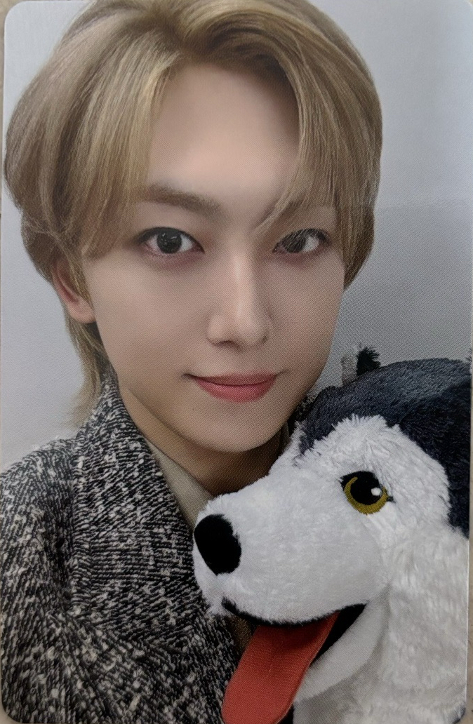 哈士奇看起來很開心