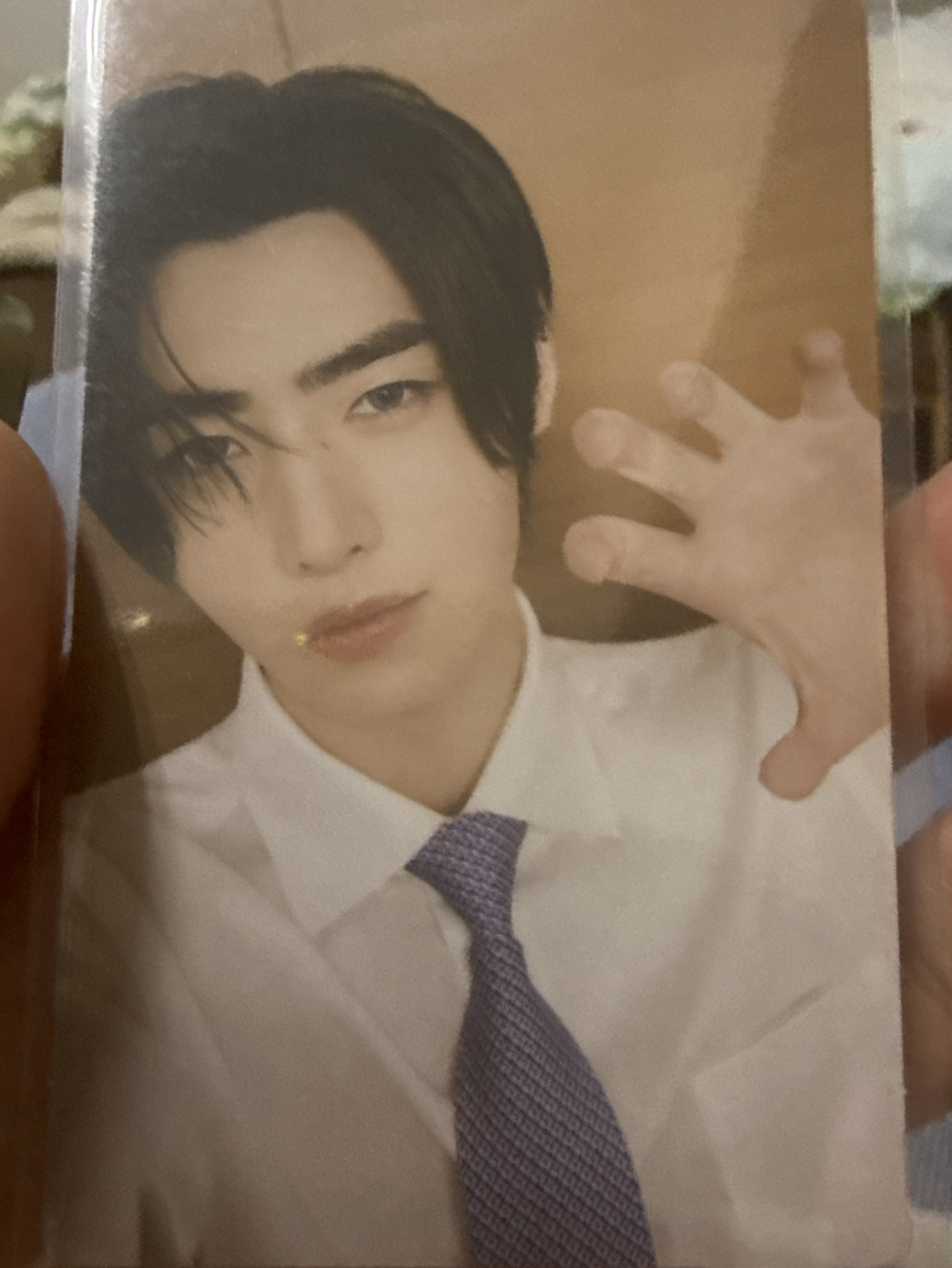 enhypen 暗月虎爪特典朴成訓