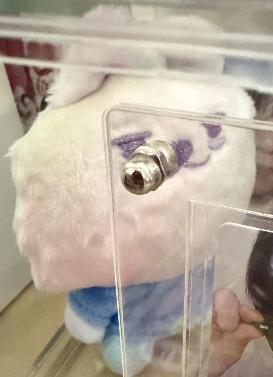 原皮猛➕彩皮猛