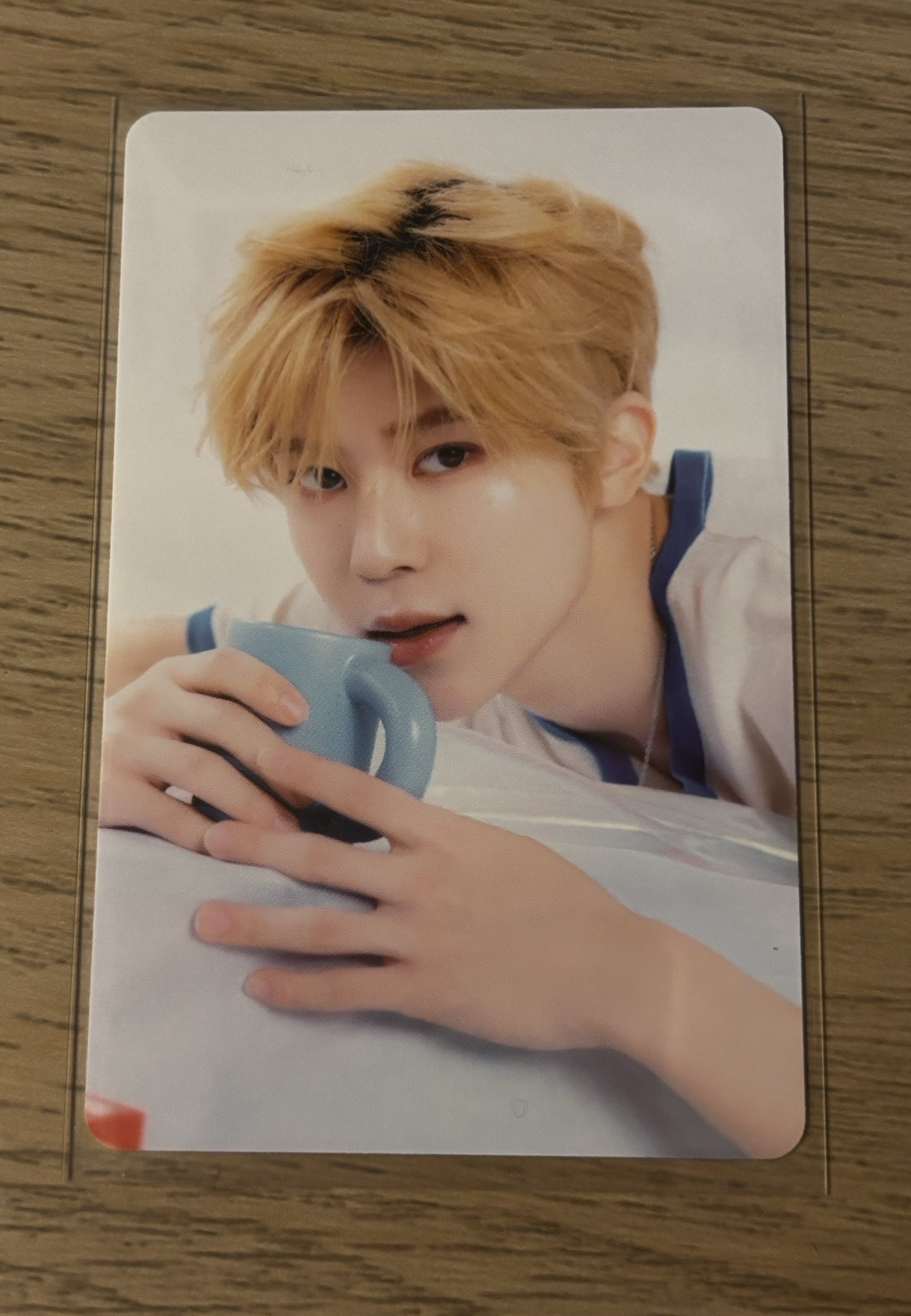 sion 25年曆 隨機卡 B版