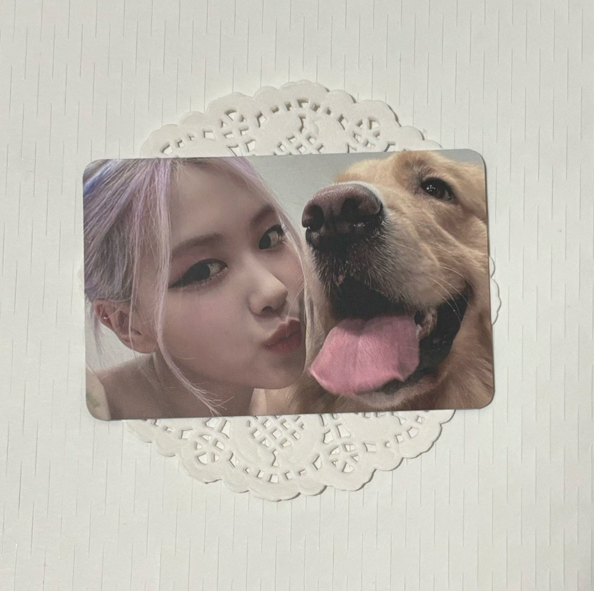 THE ALBUM K4橫版肉