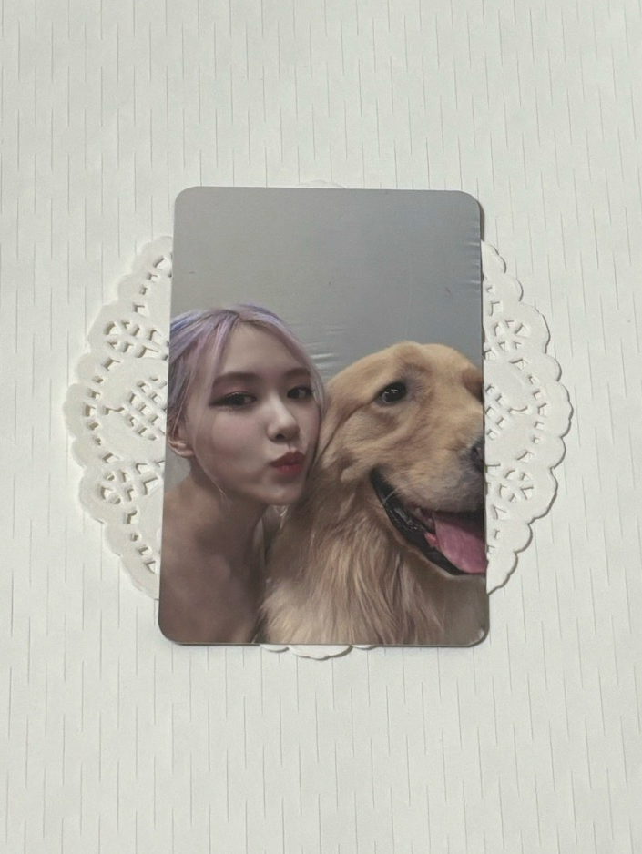 THE ALBUM K4 直版肉