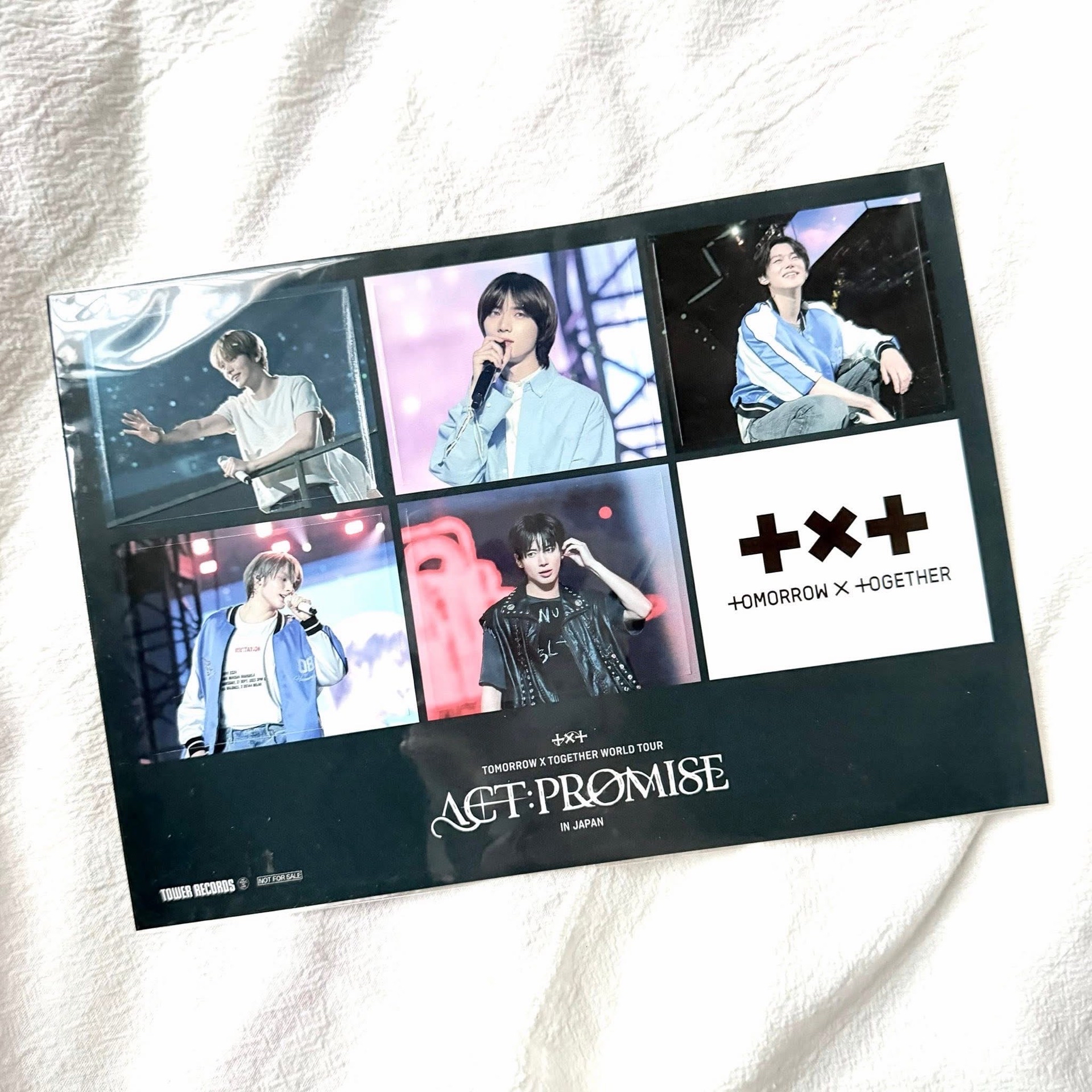 愛豆驛站彬+兔子筆彬