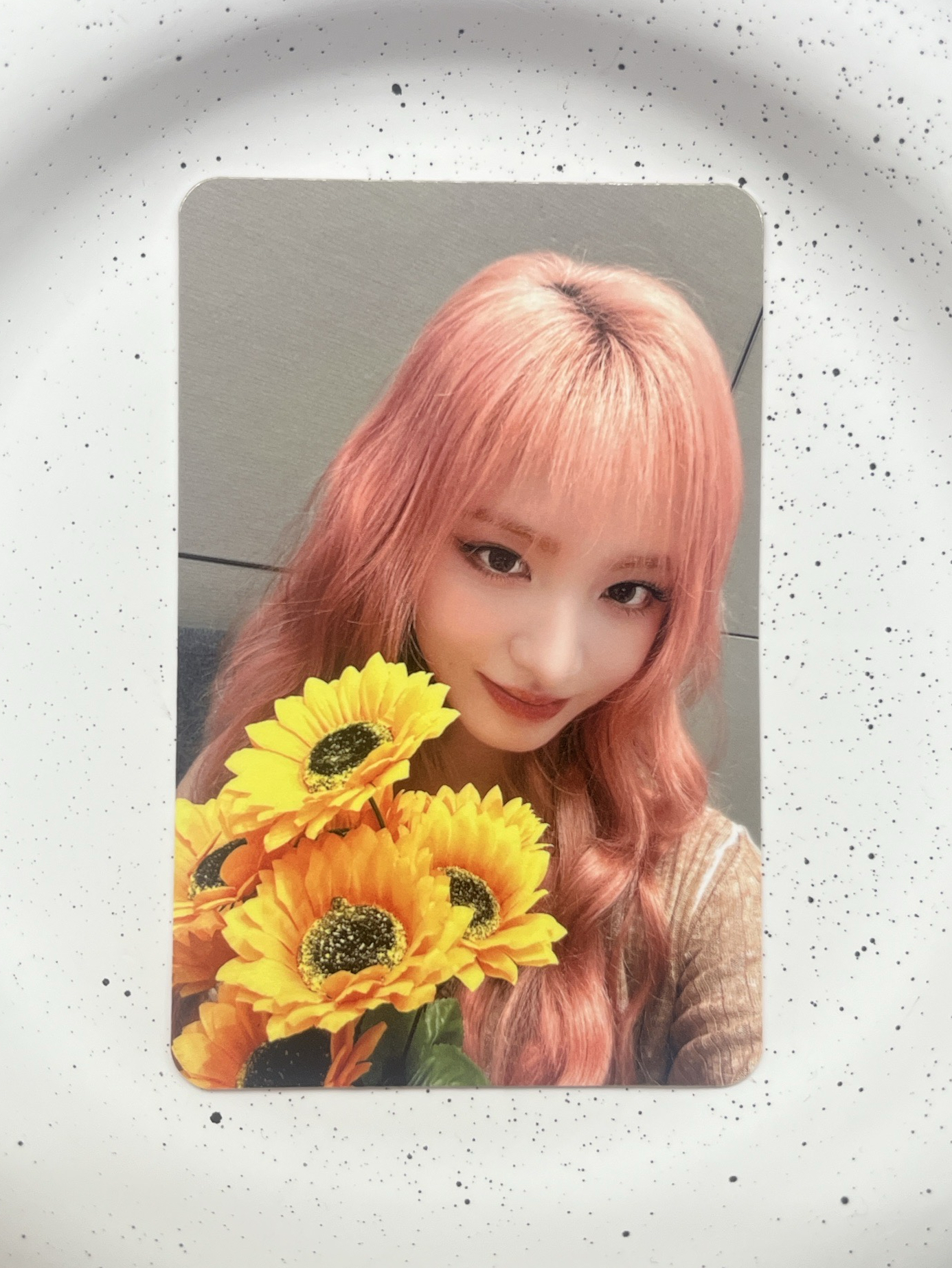 🩶IVE｜Liz｜星光卡🌻