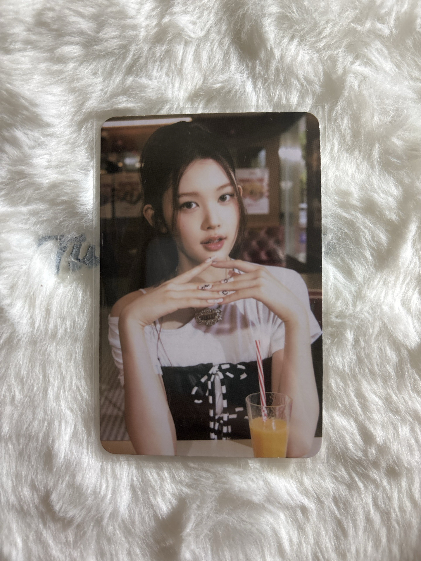 ana Focus 隨機卡 MD 2.0