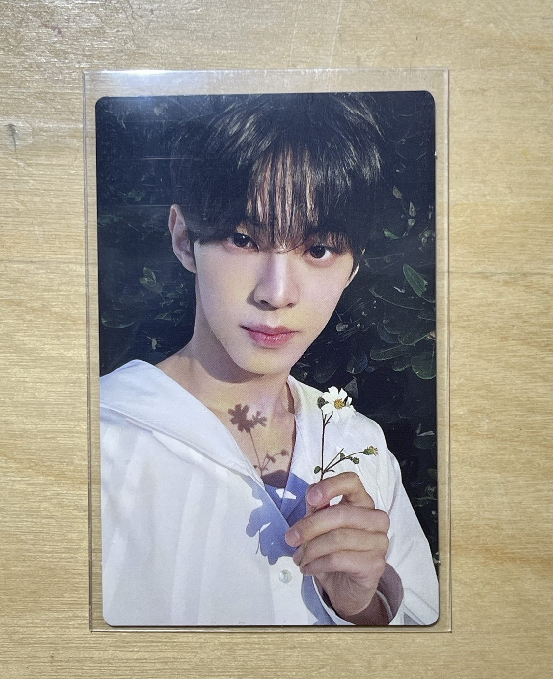 TWS日專 道勳專卡