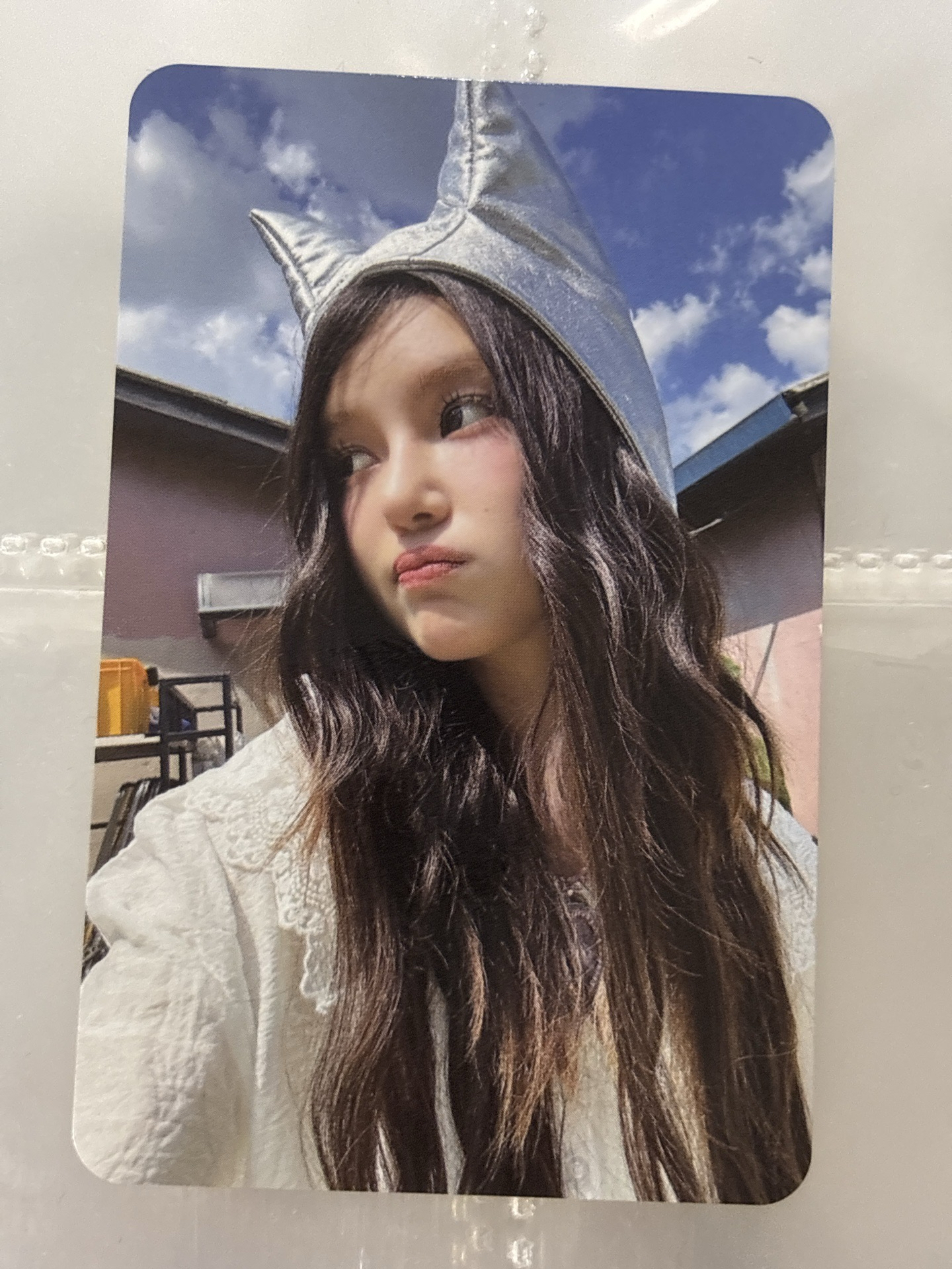 25元～貓咪丹尼爾 年曆卡💛