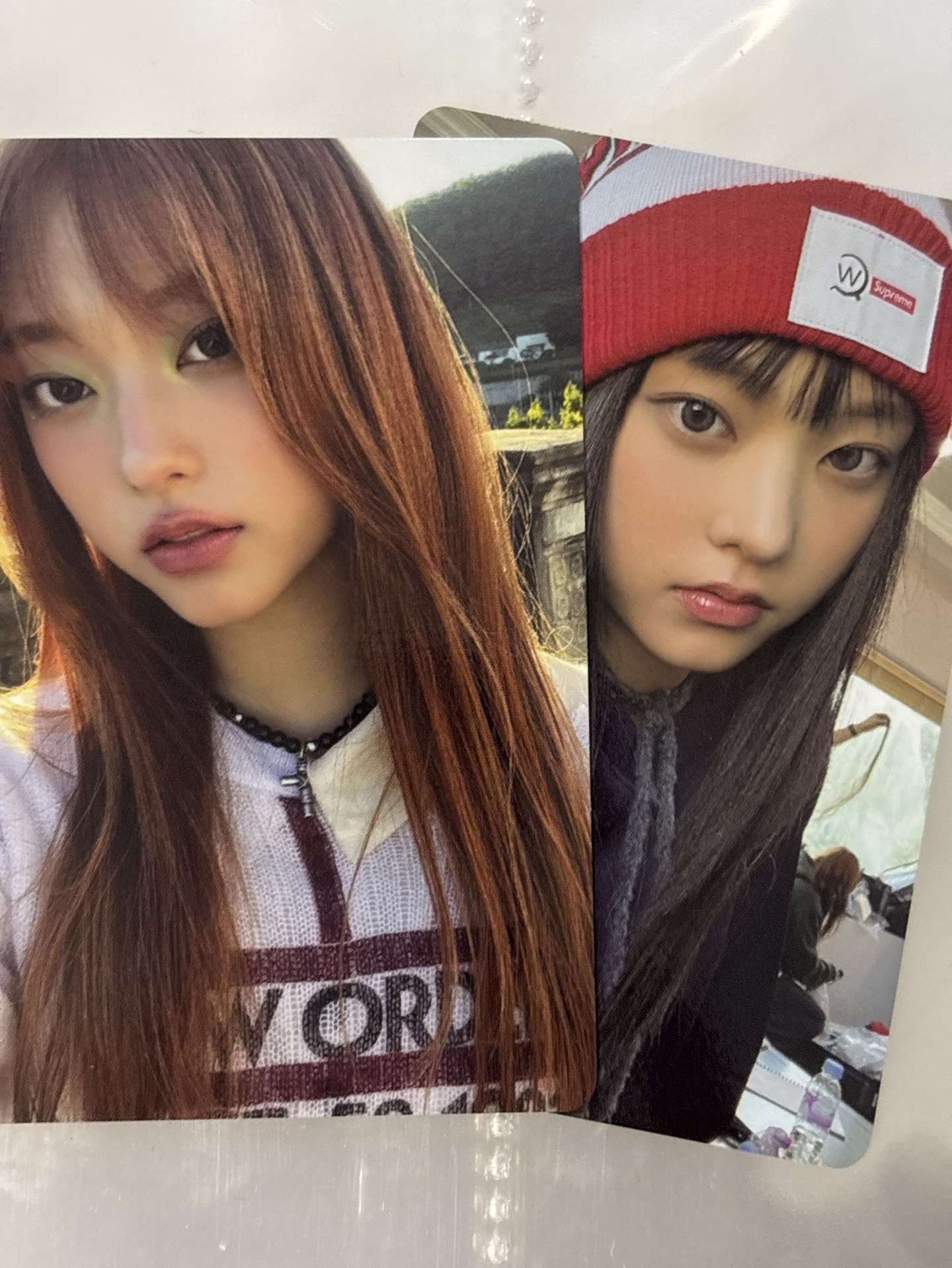 好價出貓貓～超可愛的姜貓💛