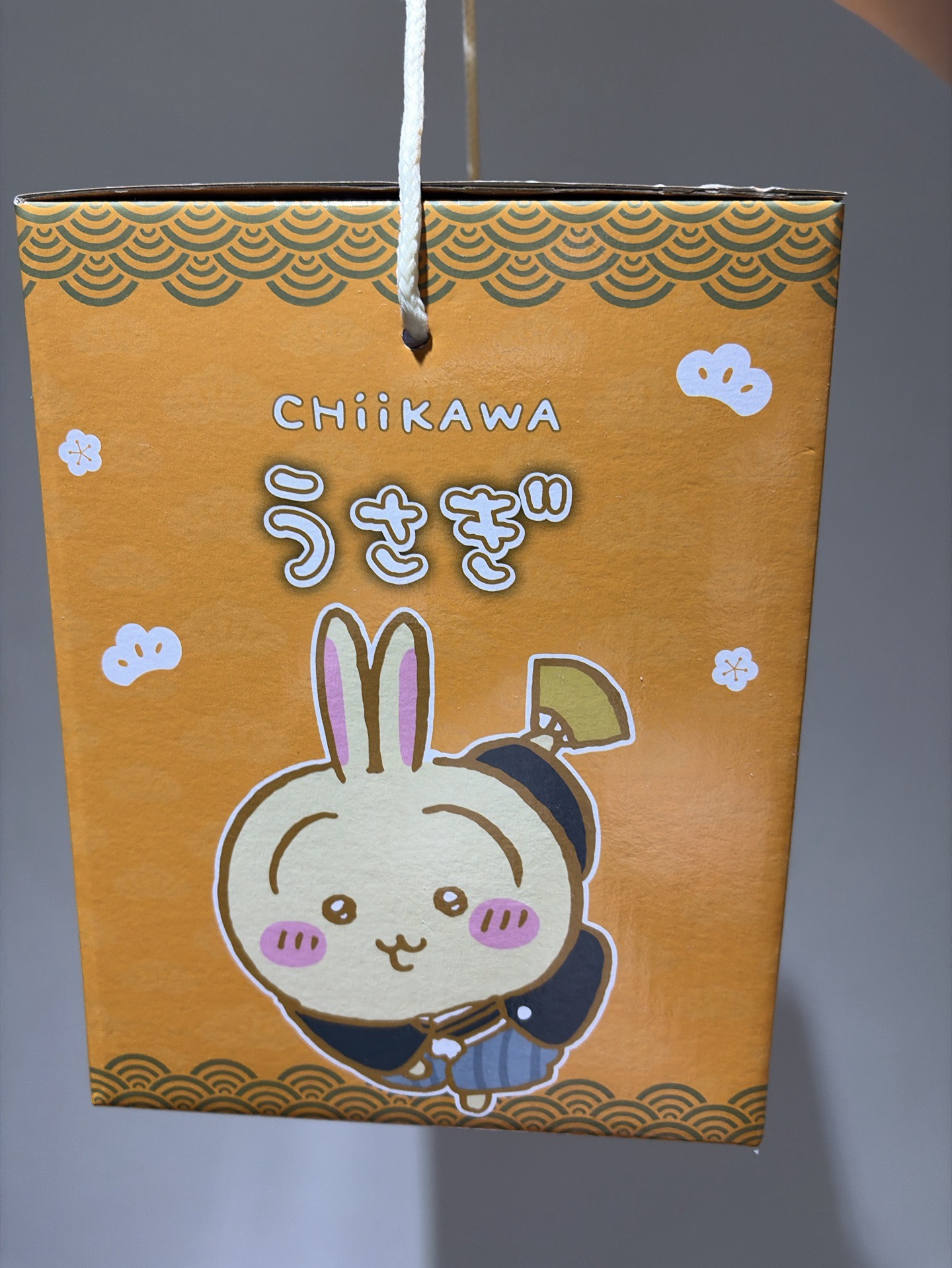 吉伊卡哇 達摩 存錢桶 烏薩奇 兔兔🐰