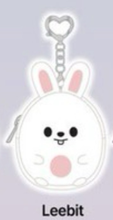 SKZ動物方程式零錢包全新