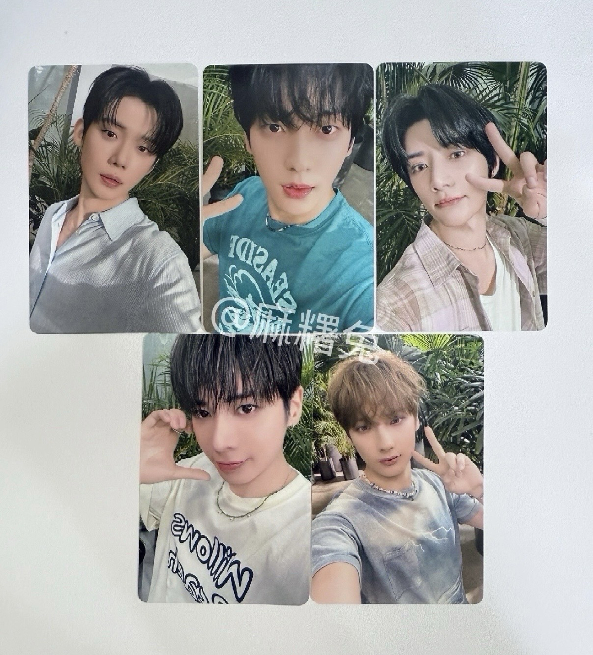 TXT❄️KMS2.0中文卡背 一套