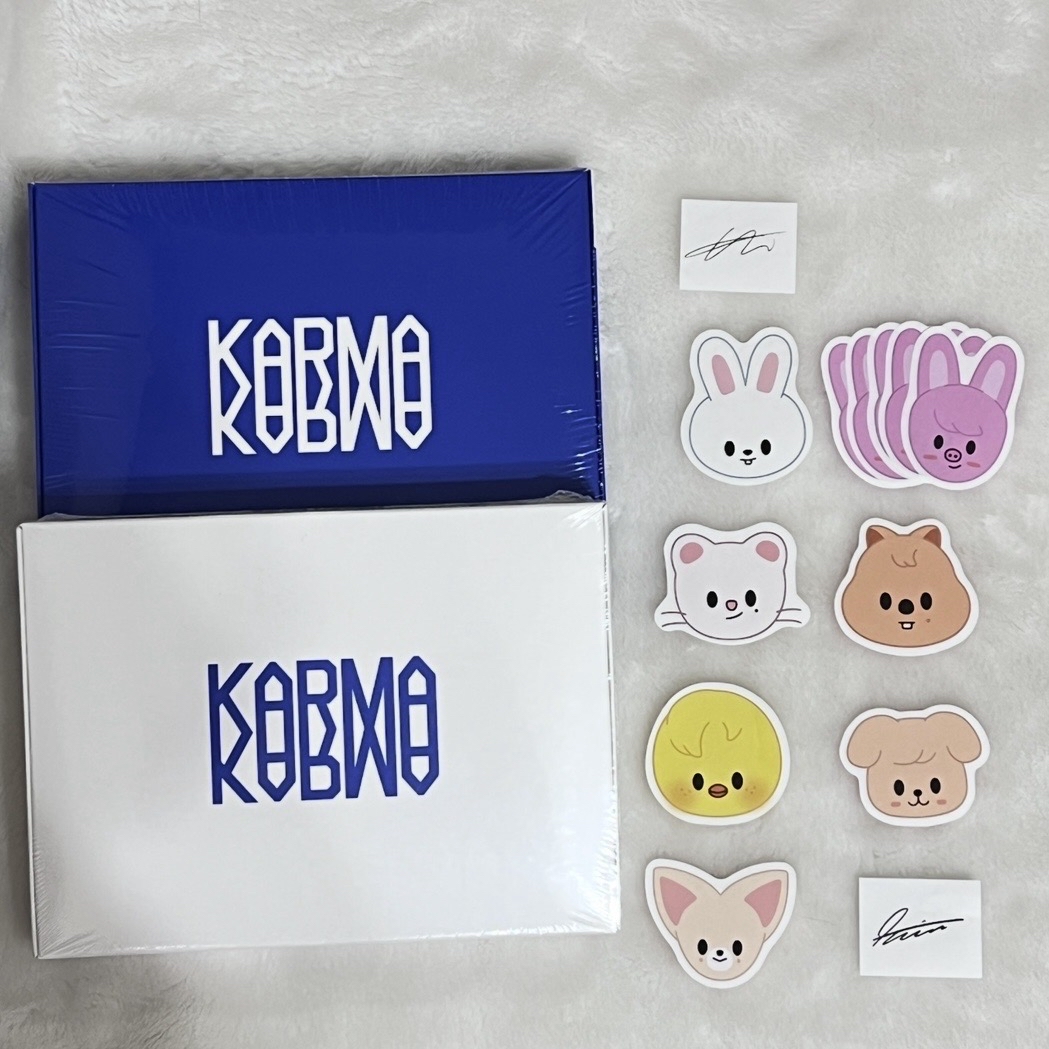 Stray Kids KARMA專 送飯咪紙花