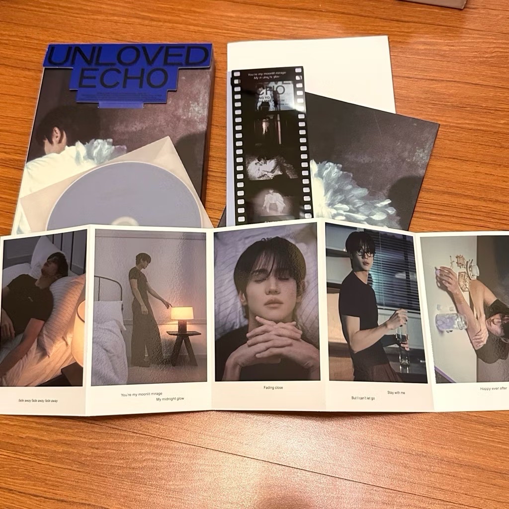 梁耀燮 unloved echo 迷3 空專