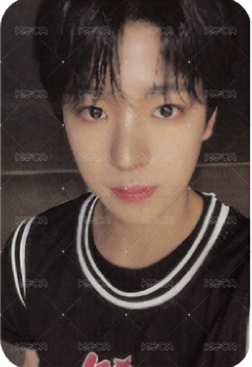 Steady 專輯卡 QR版